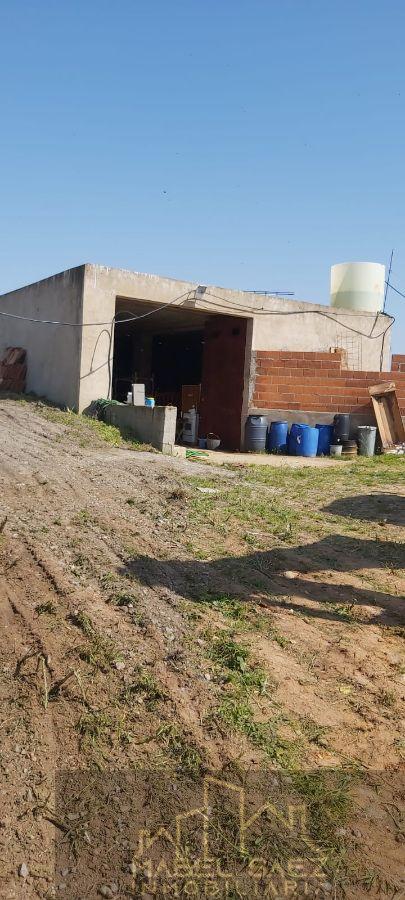 Venta de finca rústica en La Garrovilla