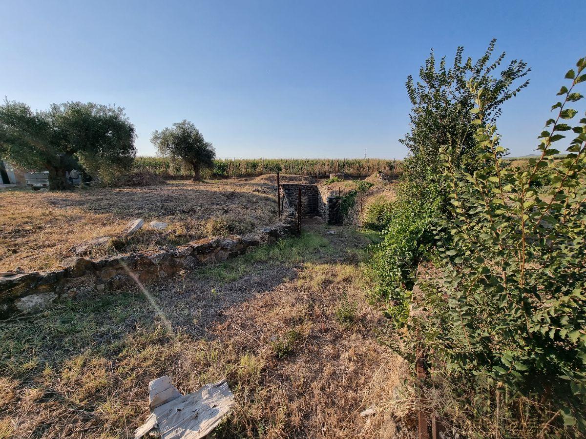 For sale of rural property in Guareña