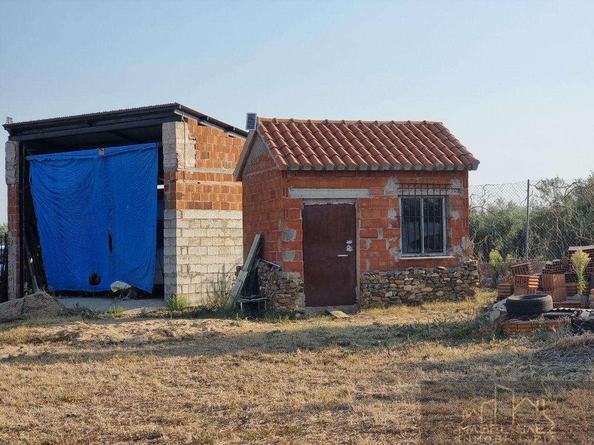 Venta de finca rústica en Guareña