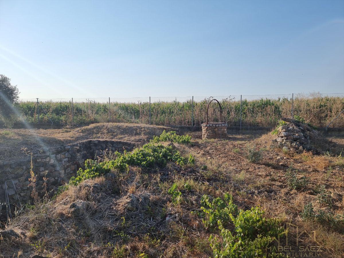 Venta de finca rústica en Guareña