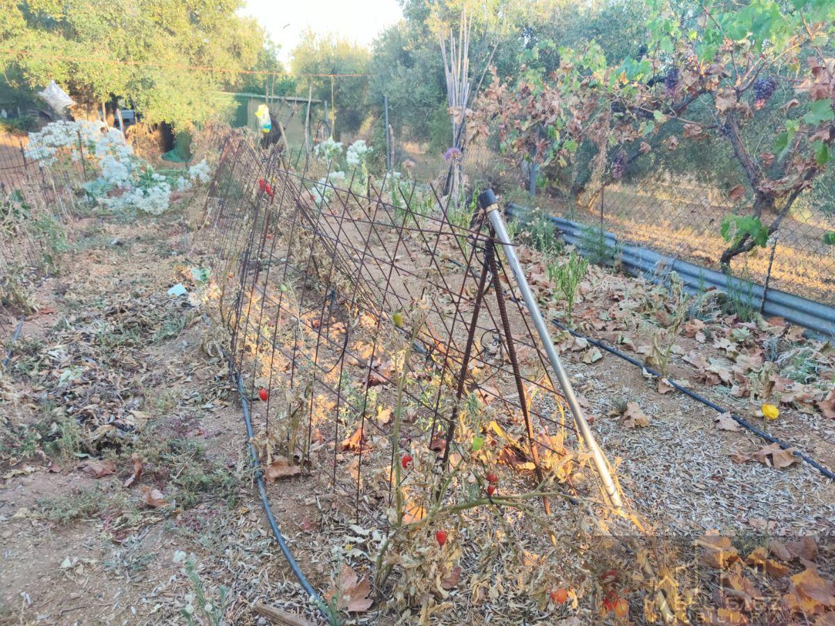 Venta de finca rústica en Malcocinado