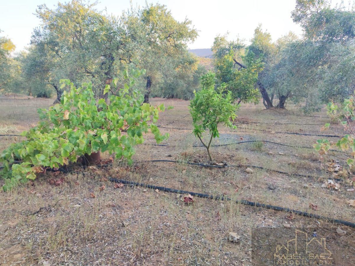 Venta de finca rústica en Malcocinado