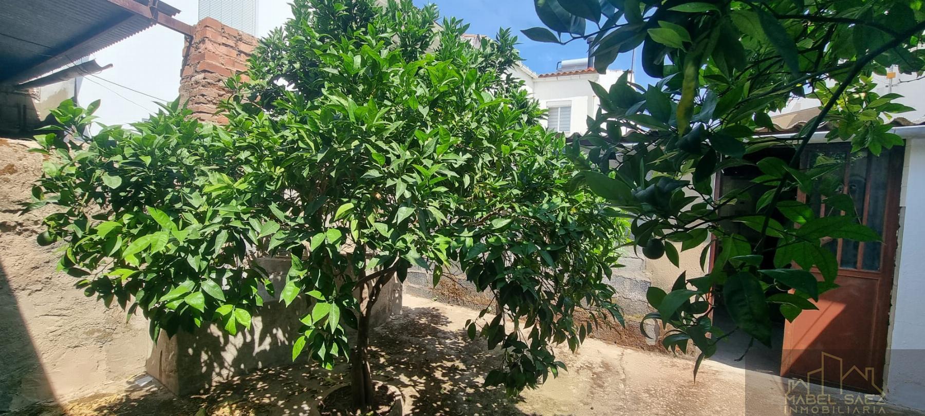 For sale of house in Mirandilla