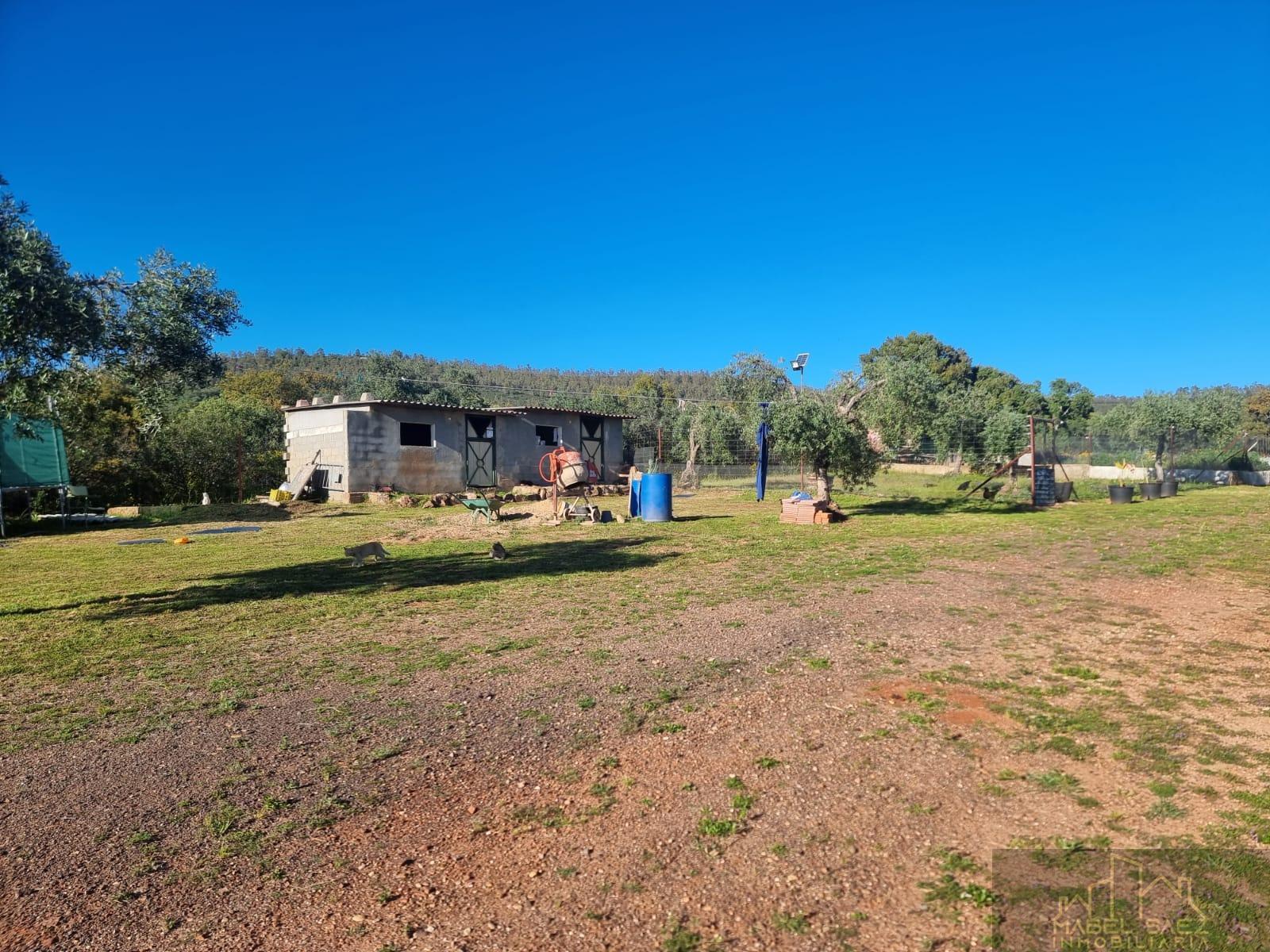 For sale of rural property in Mirandilla