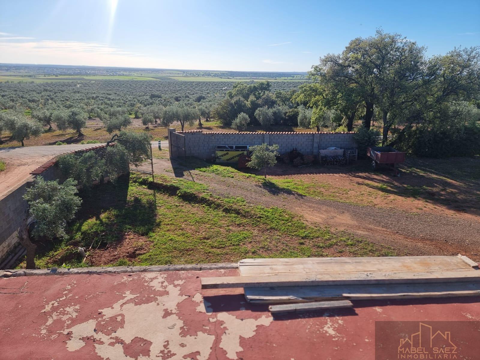 Venta de finca rústica en Mirandilla