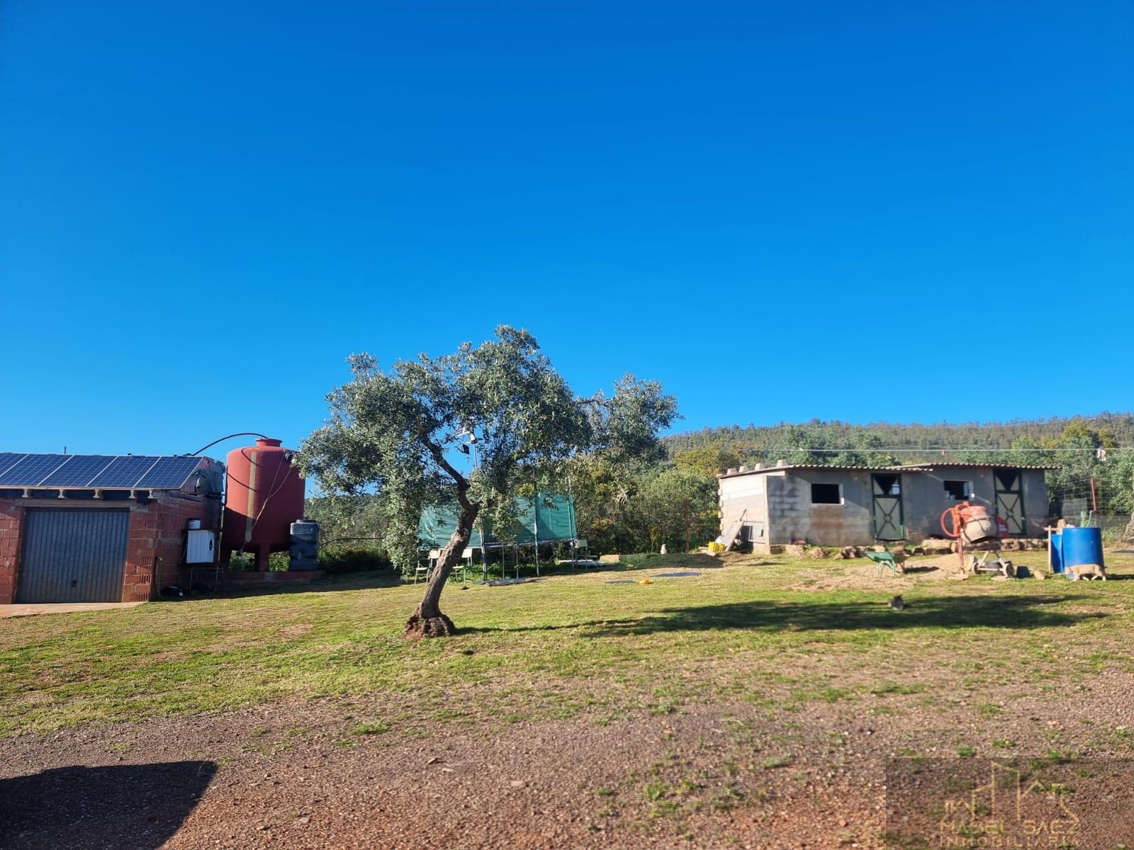 Finca en venta en Zarzuela, Mirandilla