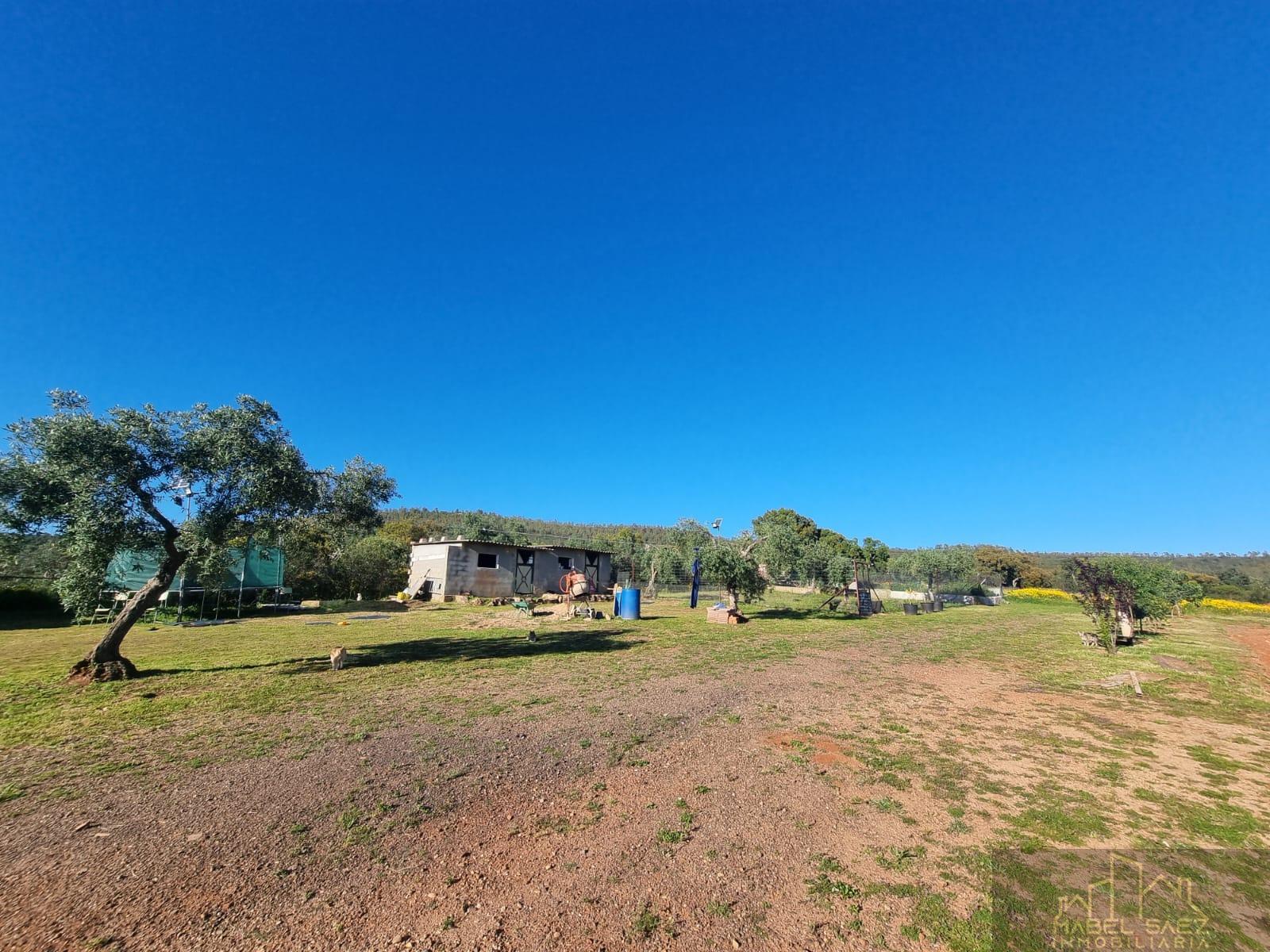 For sale of rural property in Mirandilla