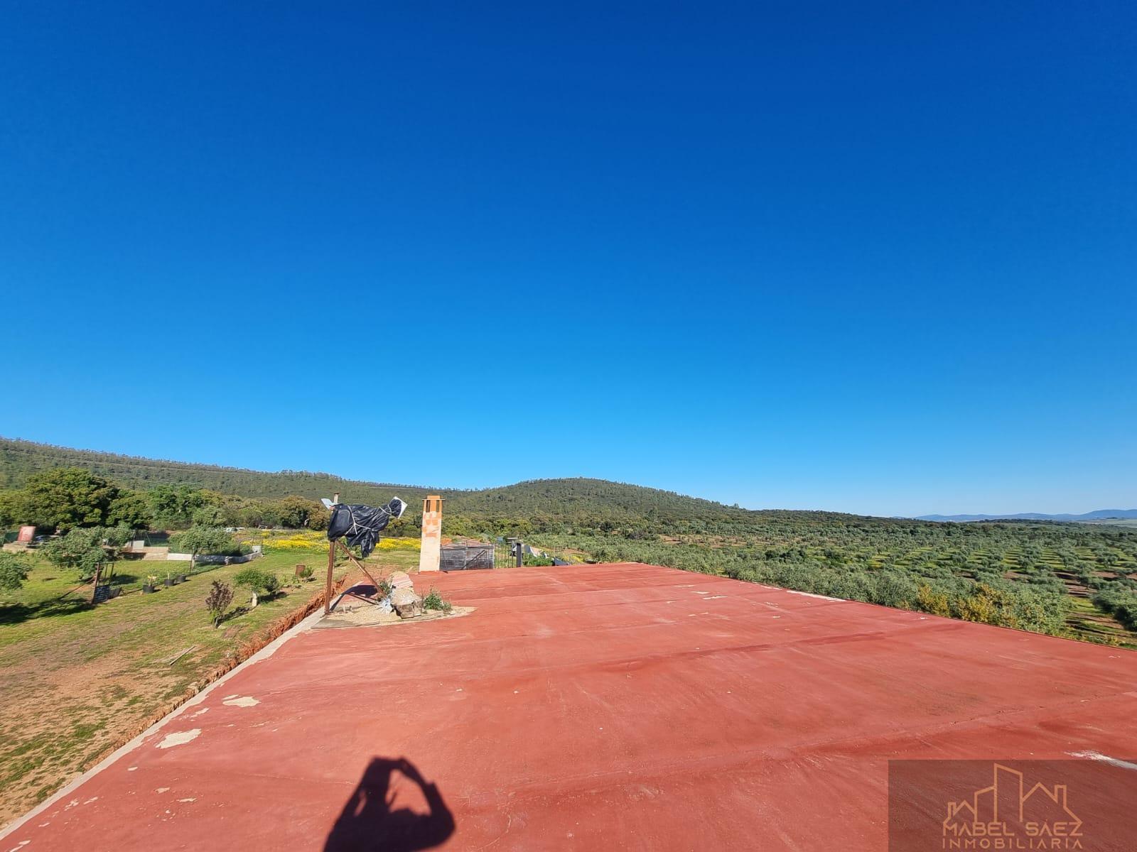 For sale of rural property in Mirandilla