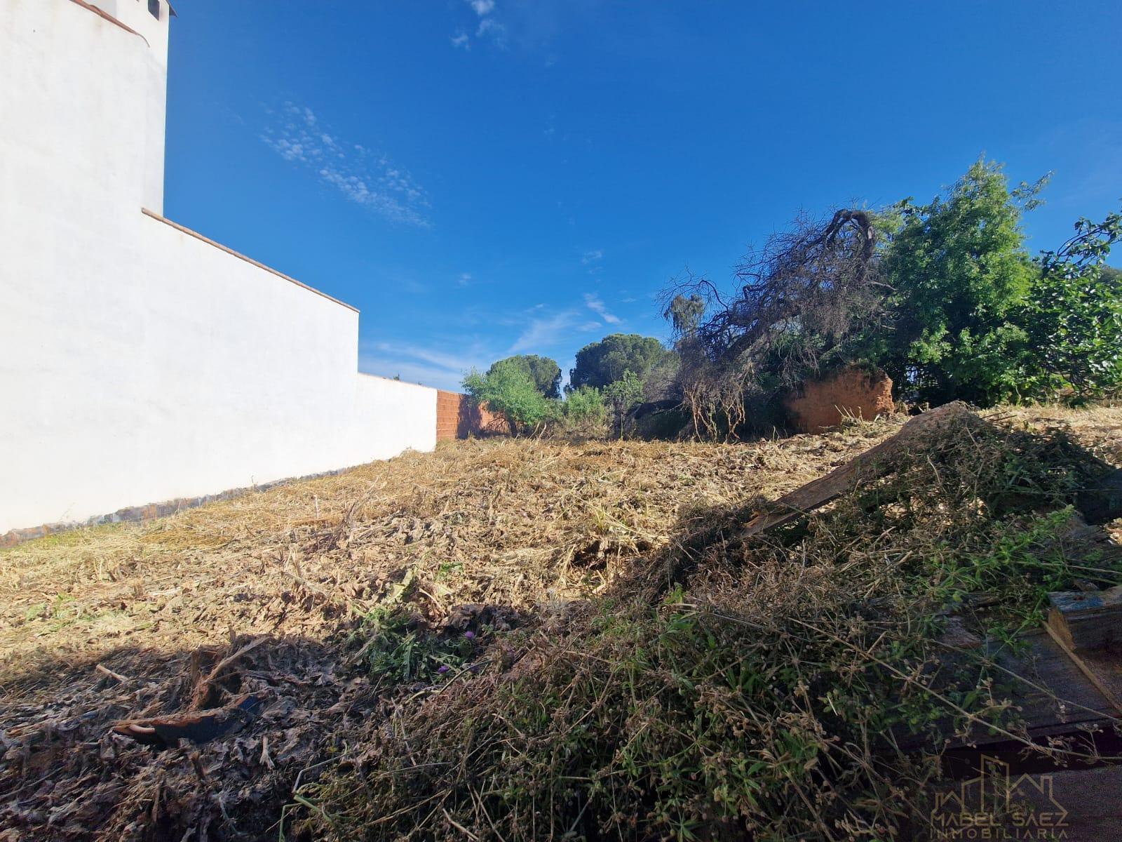 For sale of land in Malcocinado