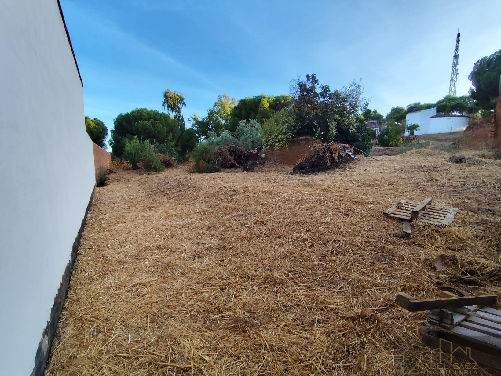 Venta de terreno en Malcocinado