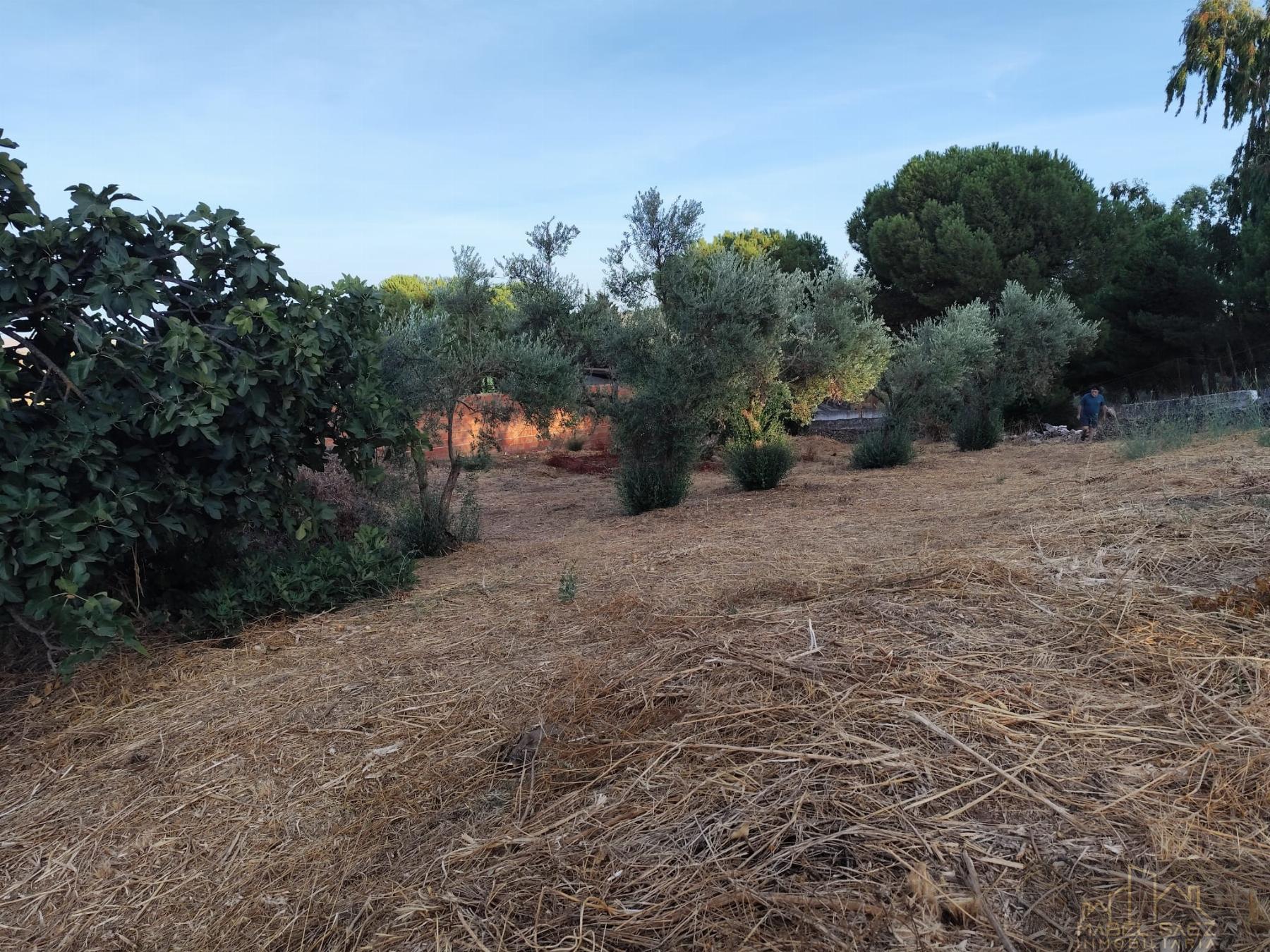 Venta de terreno en Malcocinado