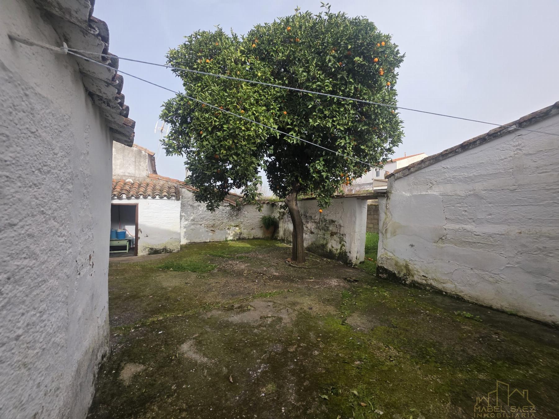 For sale of house in Malcocinado