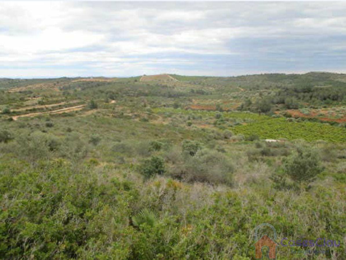 For sale of land in Vilanova d Alcolea