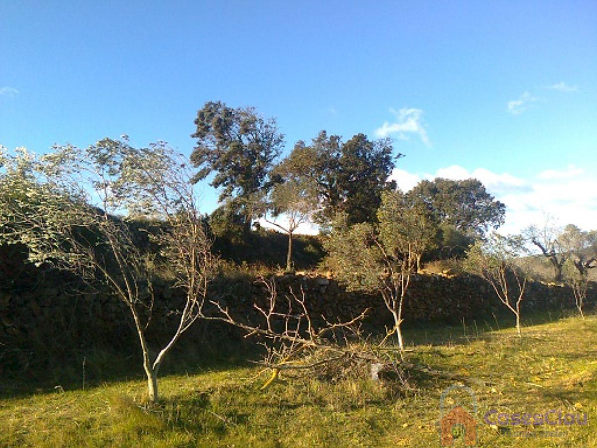 For sale of land in Cabanes