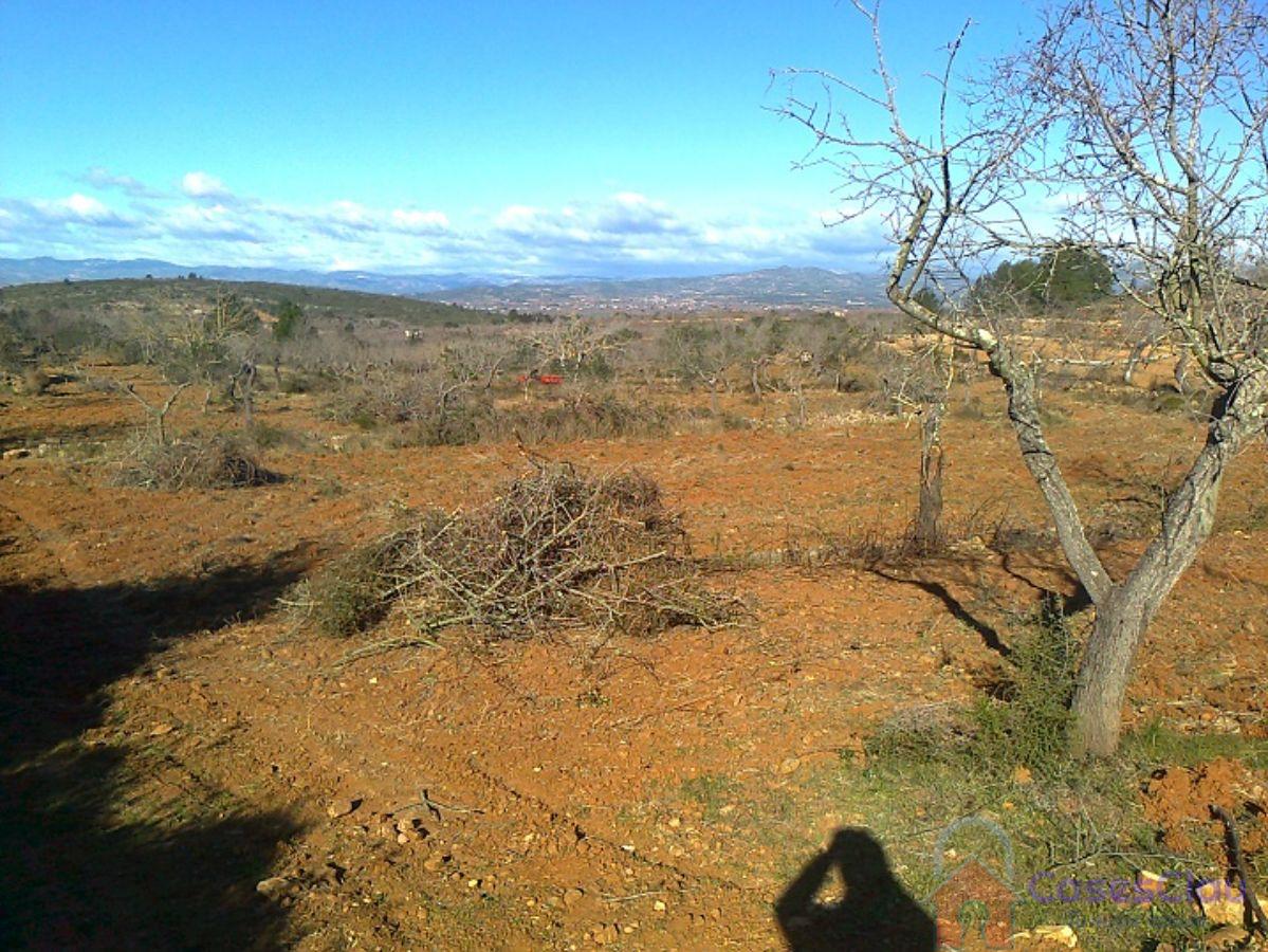 For sale of land in Cabanes