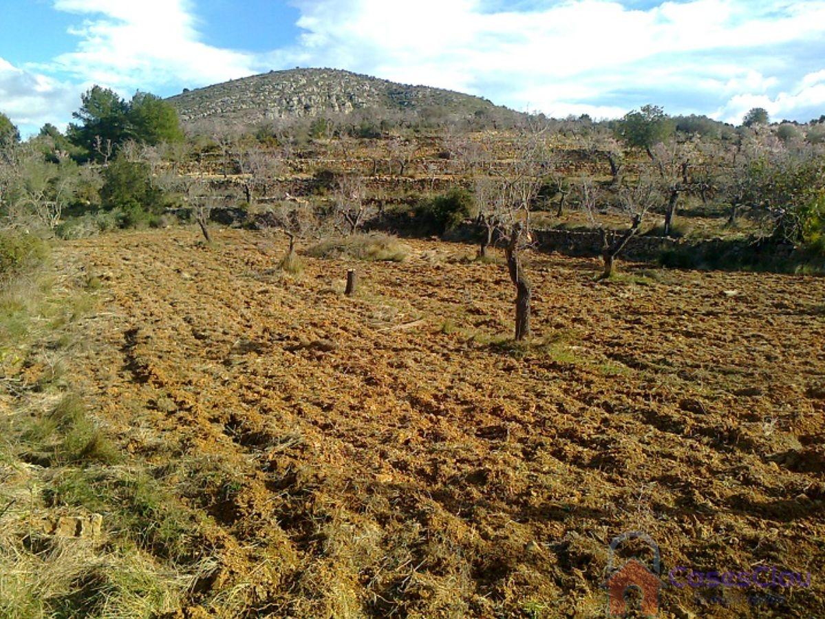 For sale of land in Cabanes
