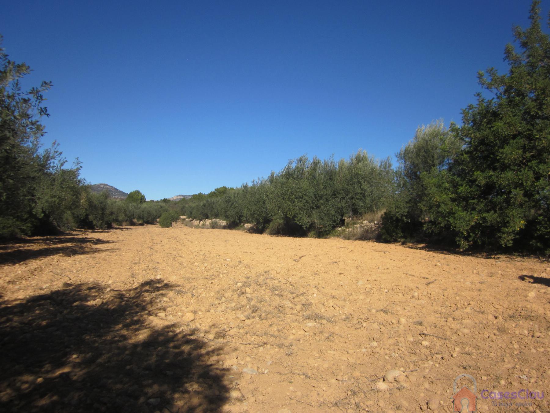 Venta de terreno en Albacete