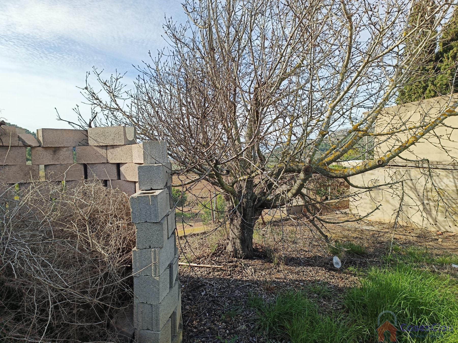 For sale of rural property in Borriol