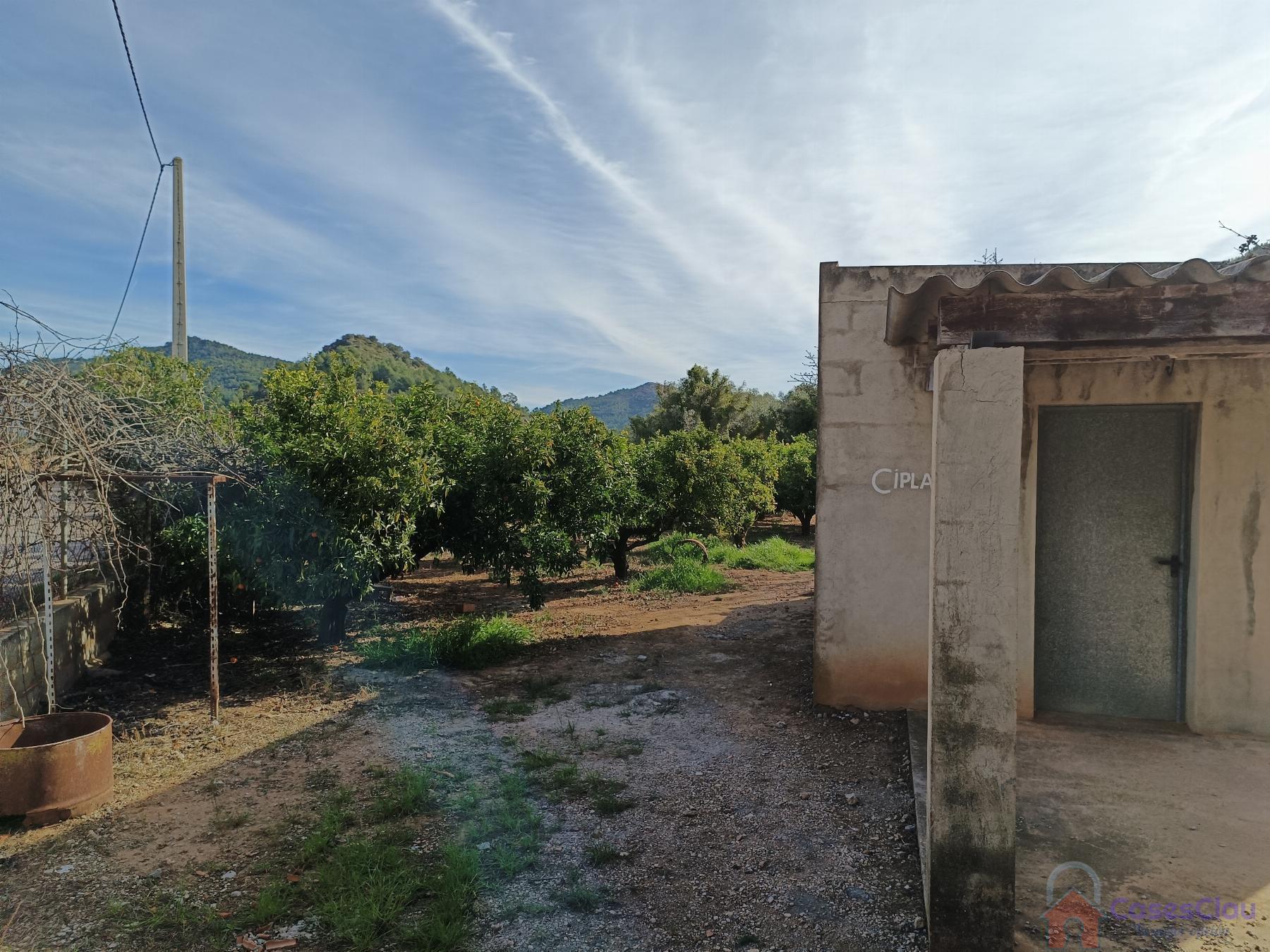 Venta de finca rústica en Borriol