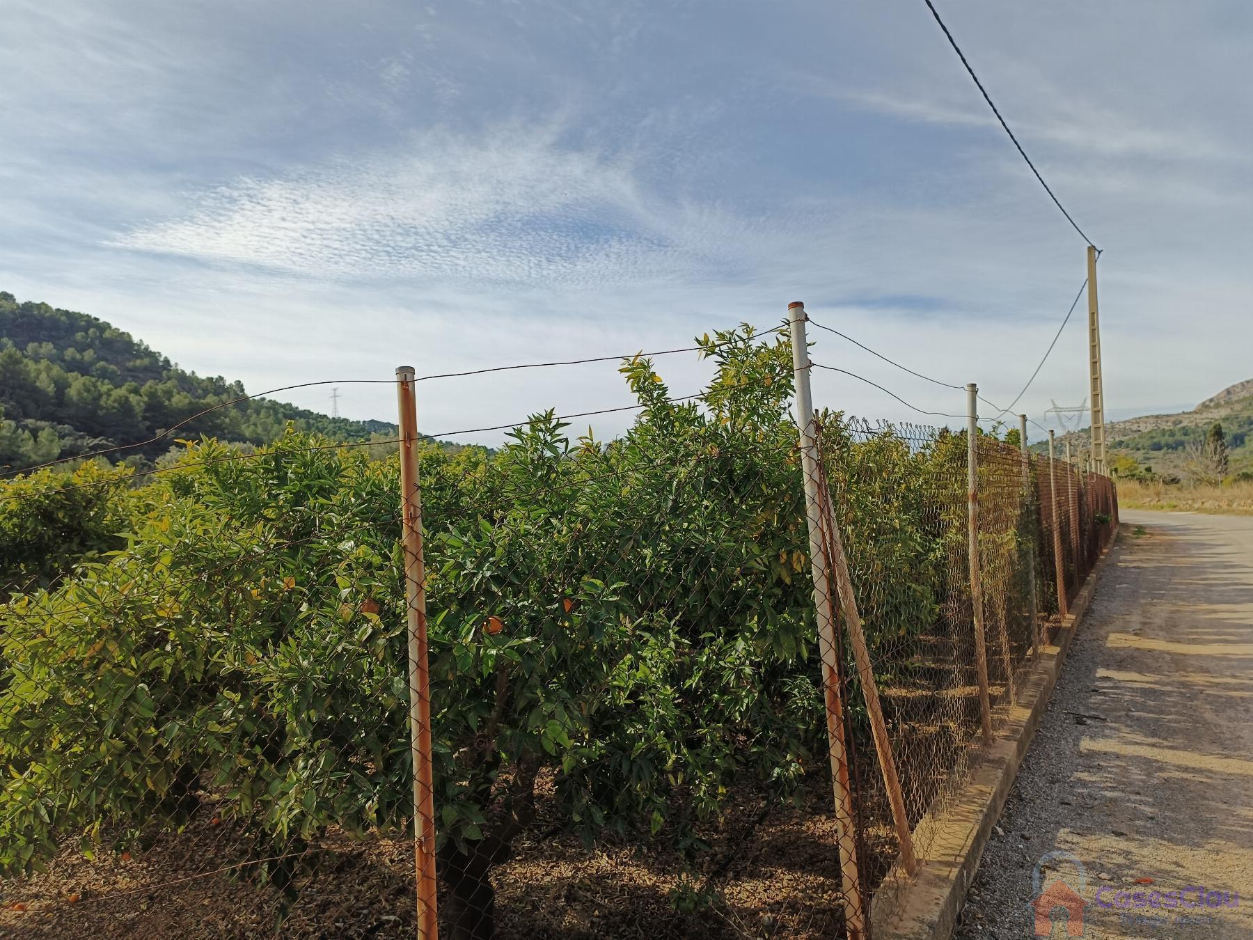 For sale of rural property in Borriol