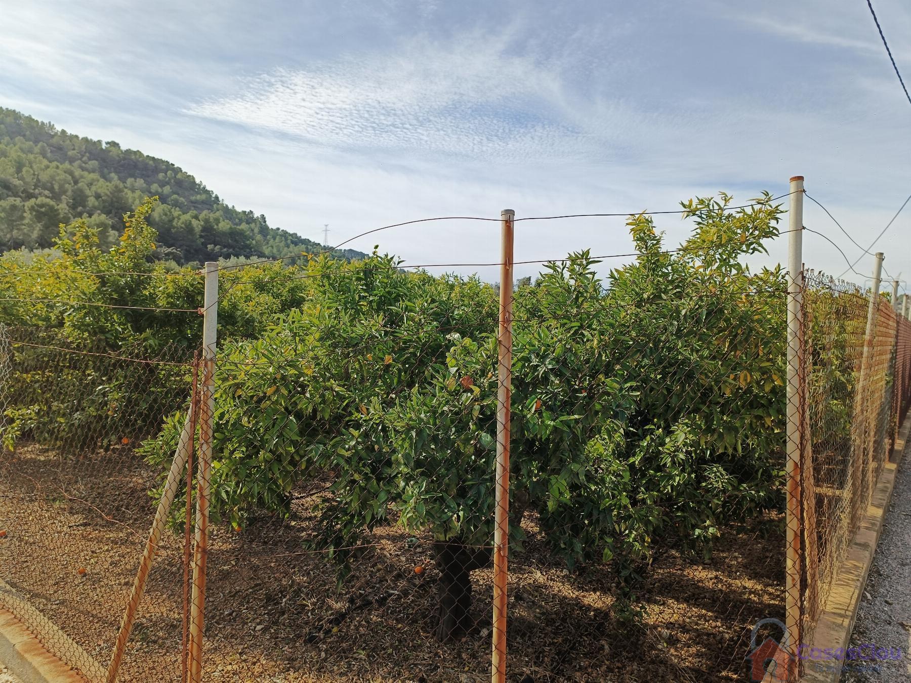 For sale of rural property in Borriol
