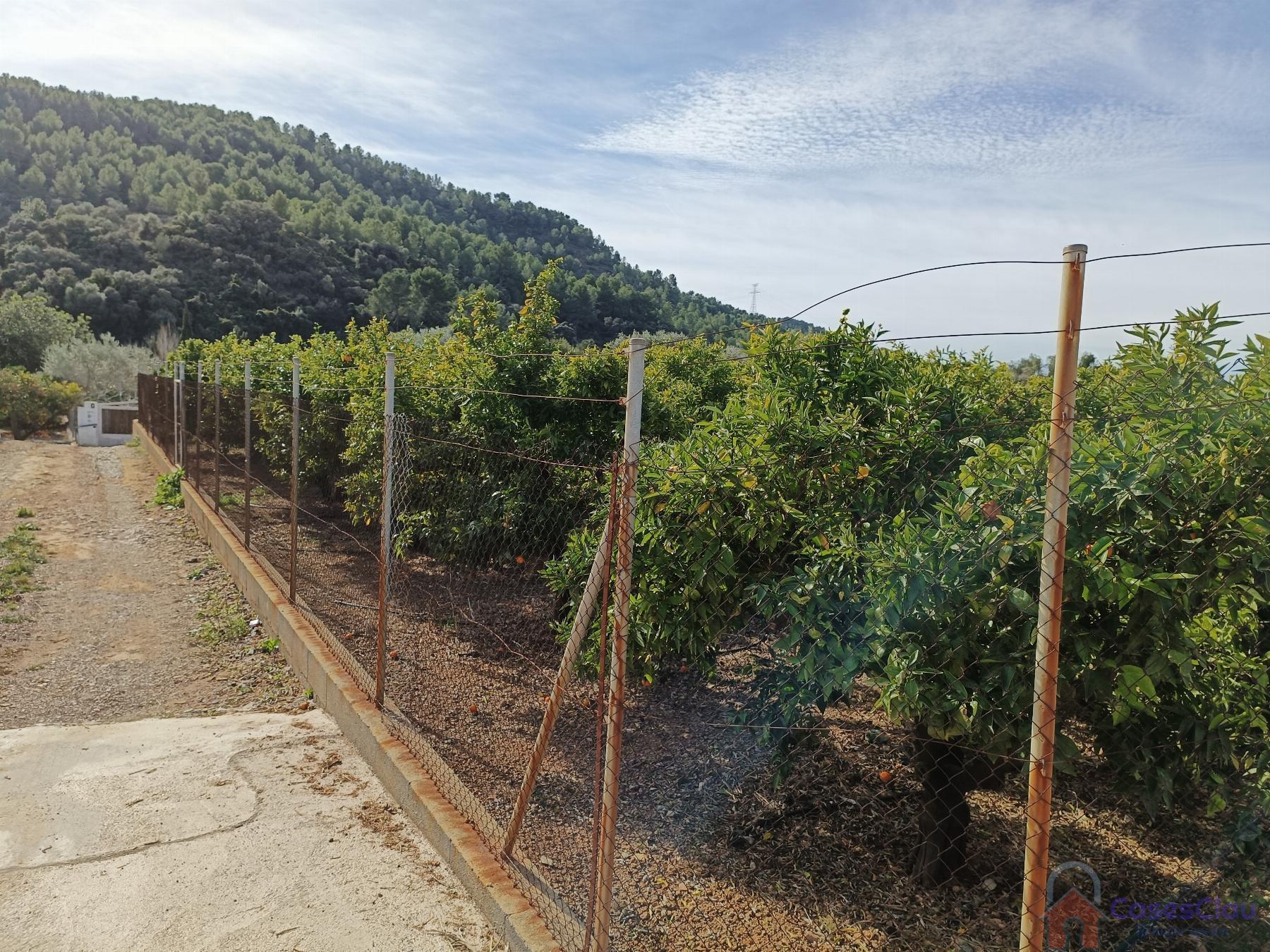 For sale of rural property in Borriol