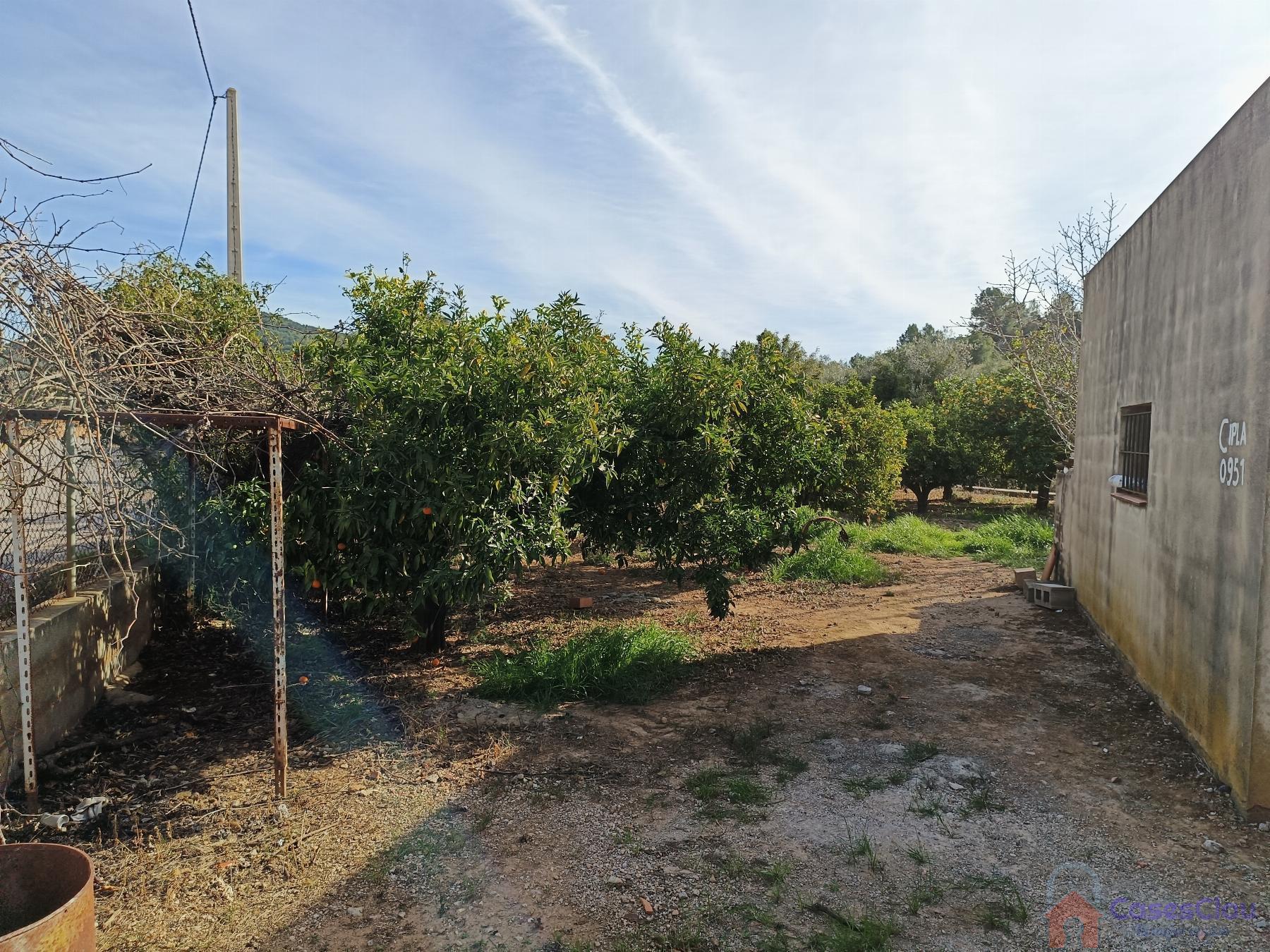 For sale of rural property in Borriol