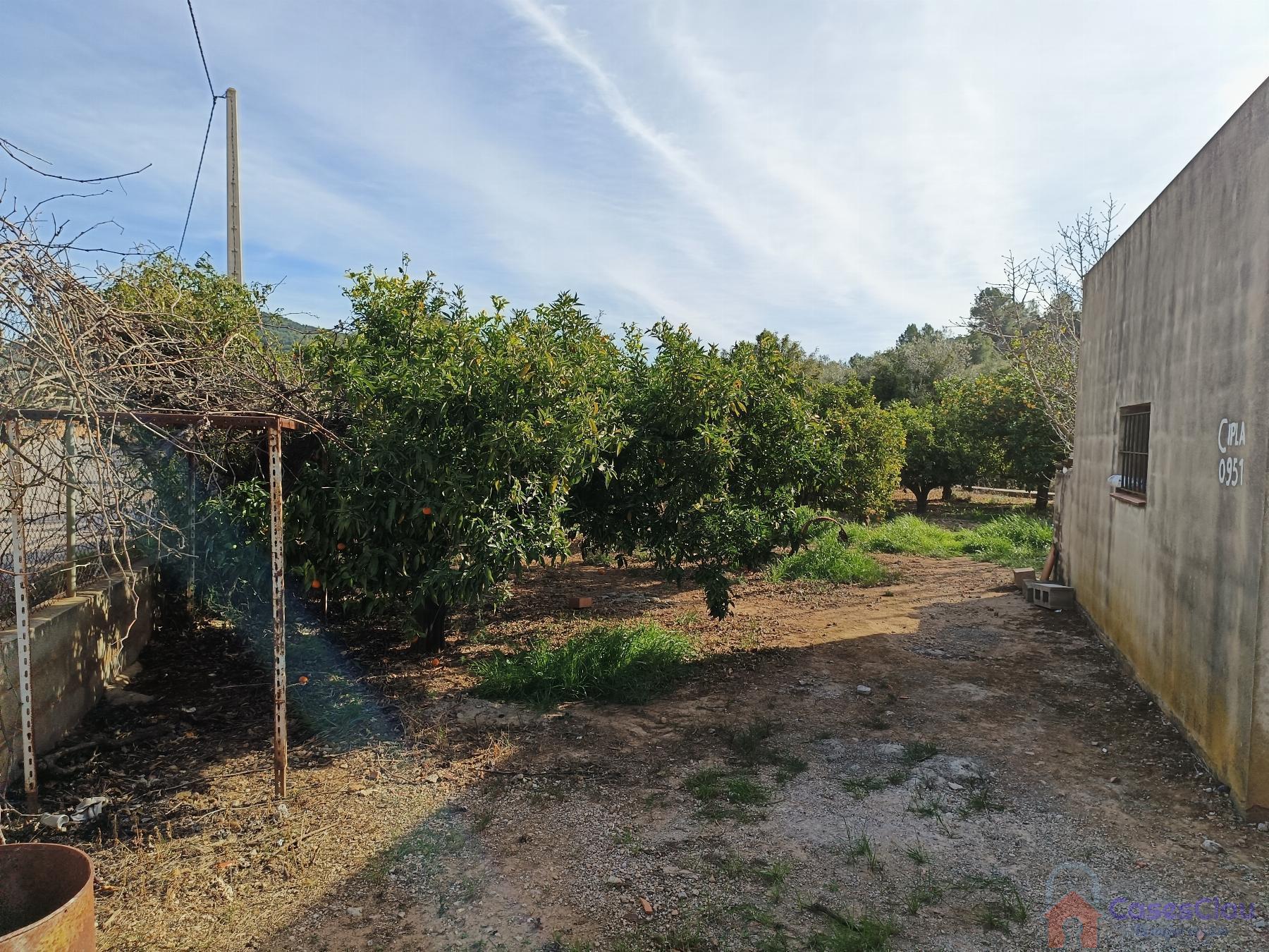 Venta de finca rústica en Borriol