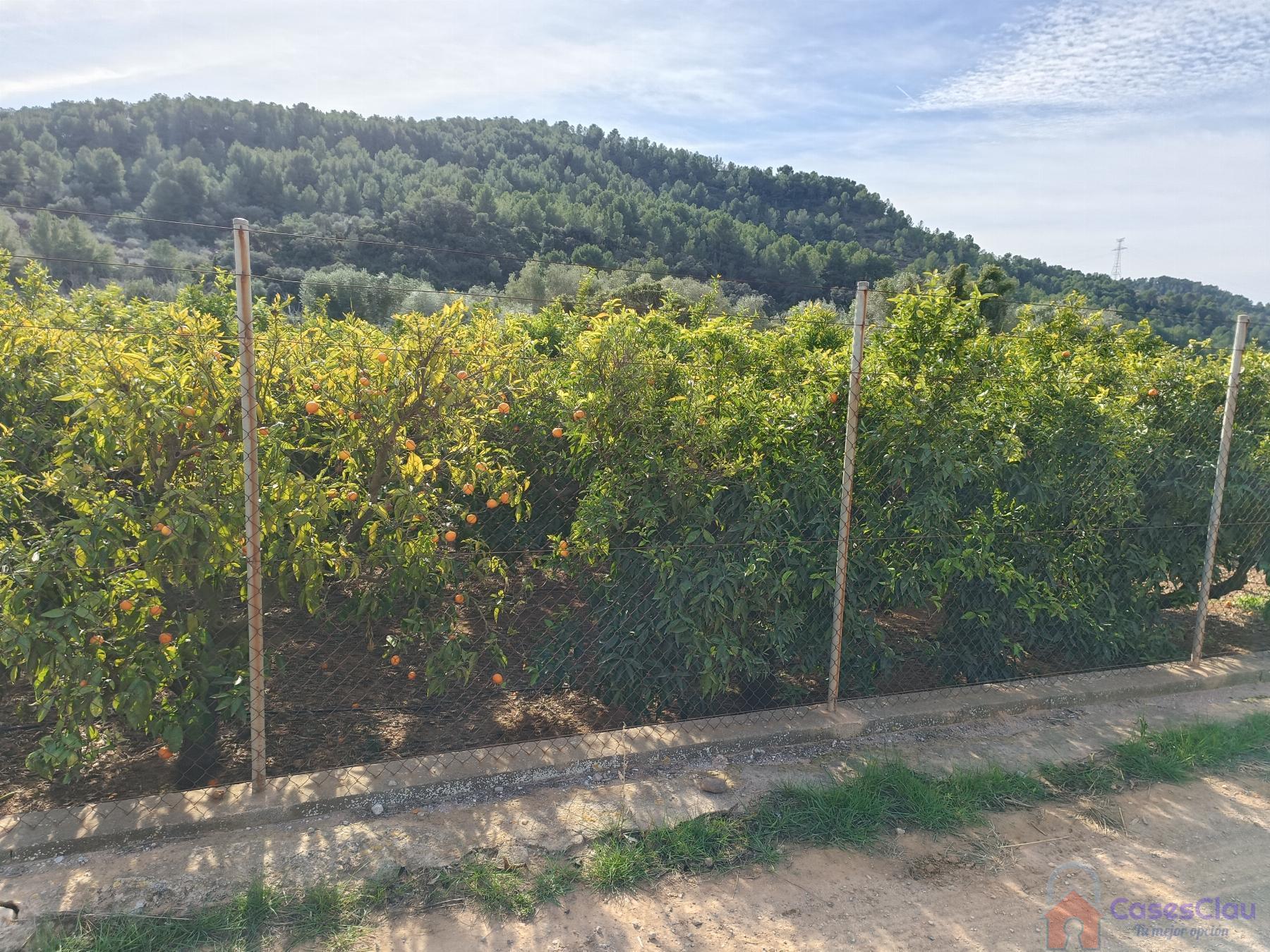 For sale of rural property in Borriol