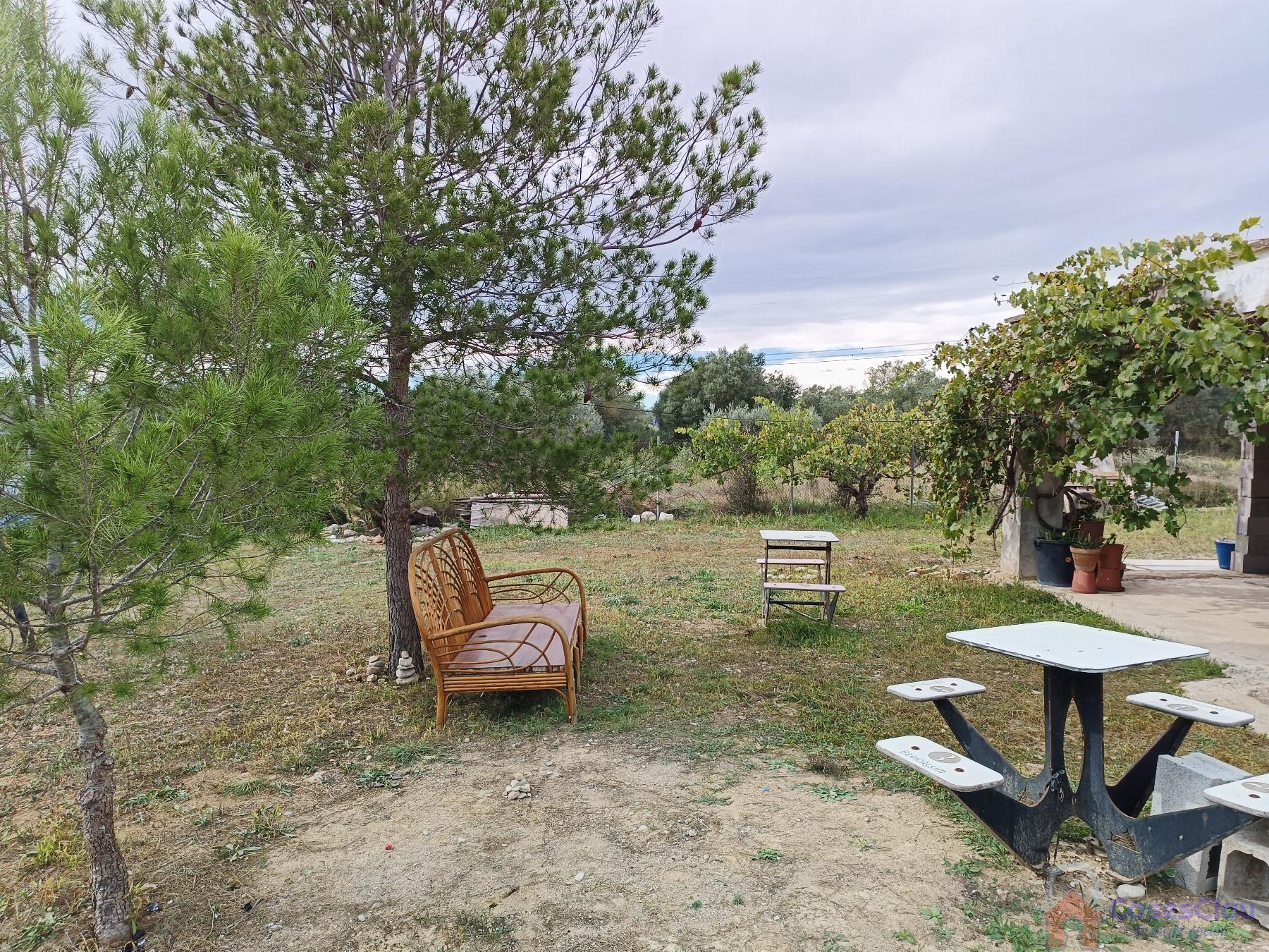 For sale of rural property in Vall d Alba