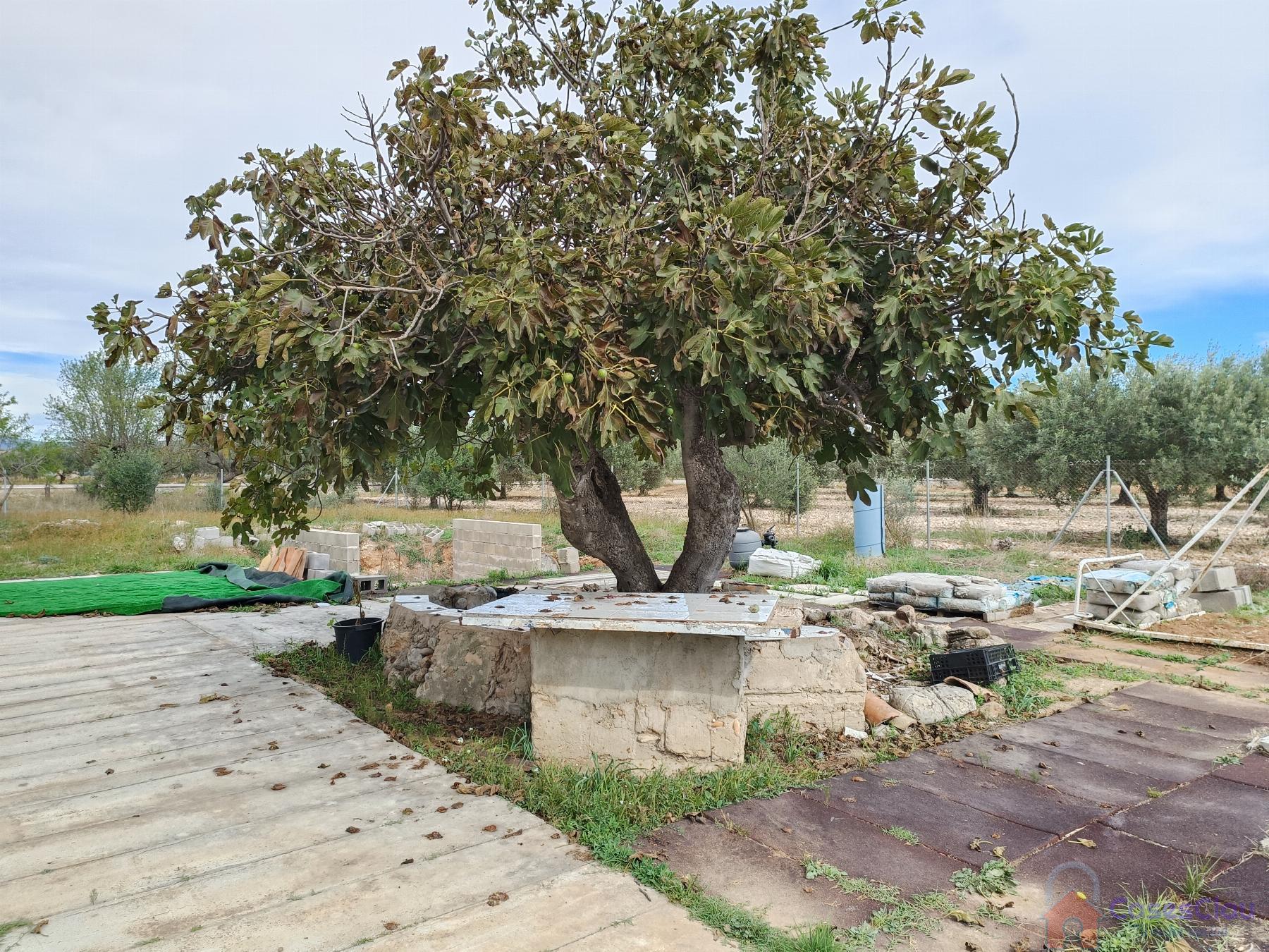 For sale of rural property in Vall d Alba