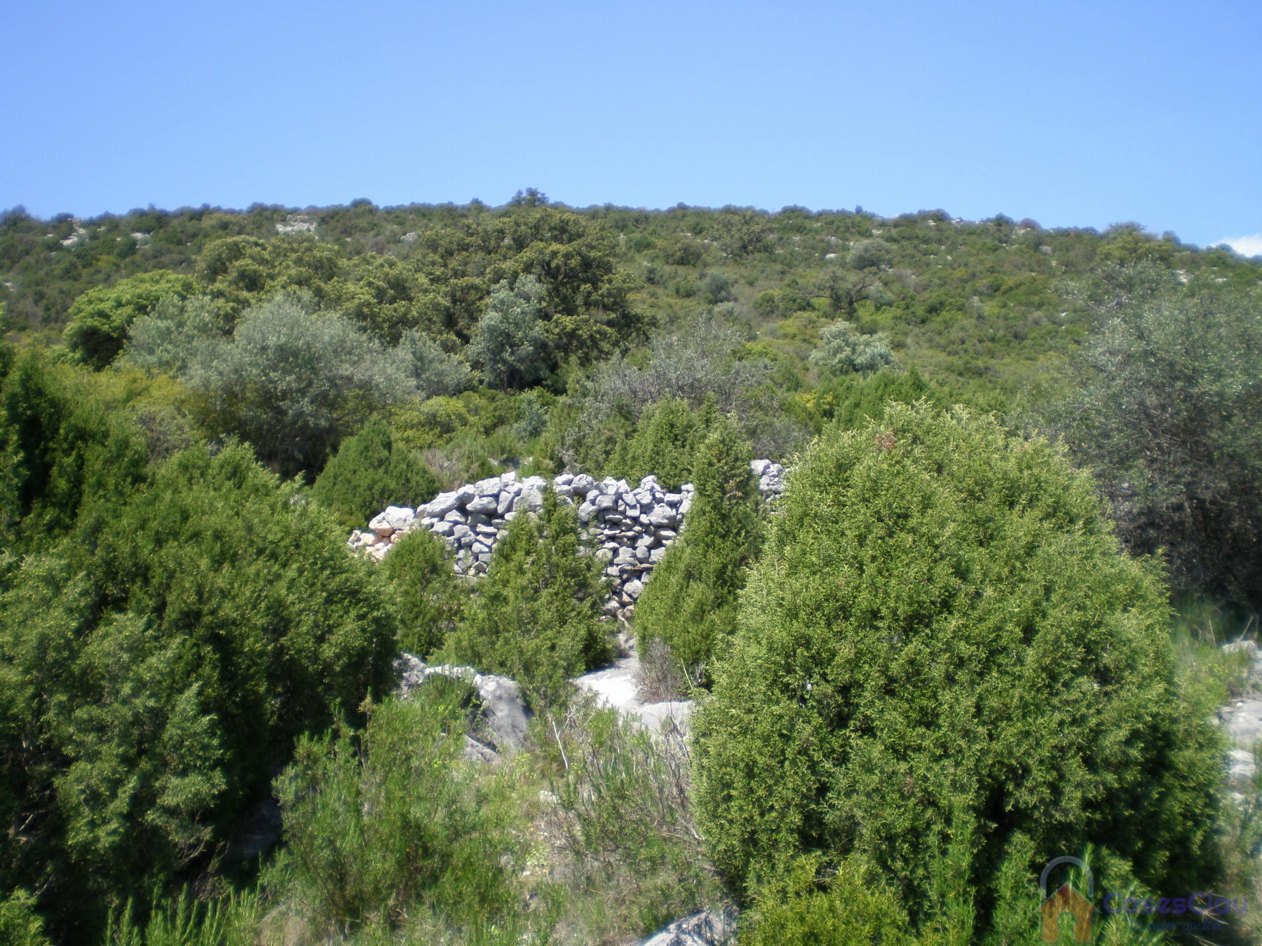 Venta de finca rústica en Culla