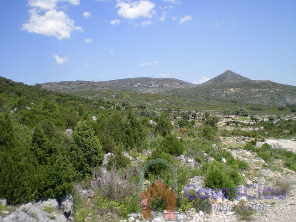 Venta de finca rústica en Culla