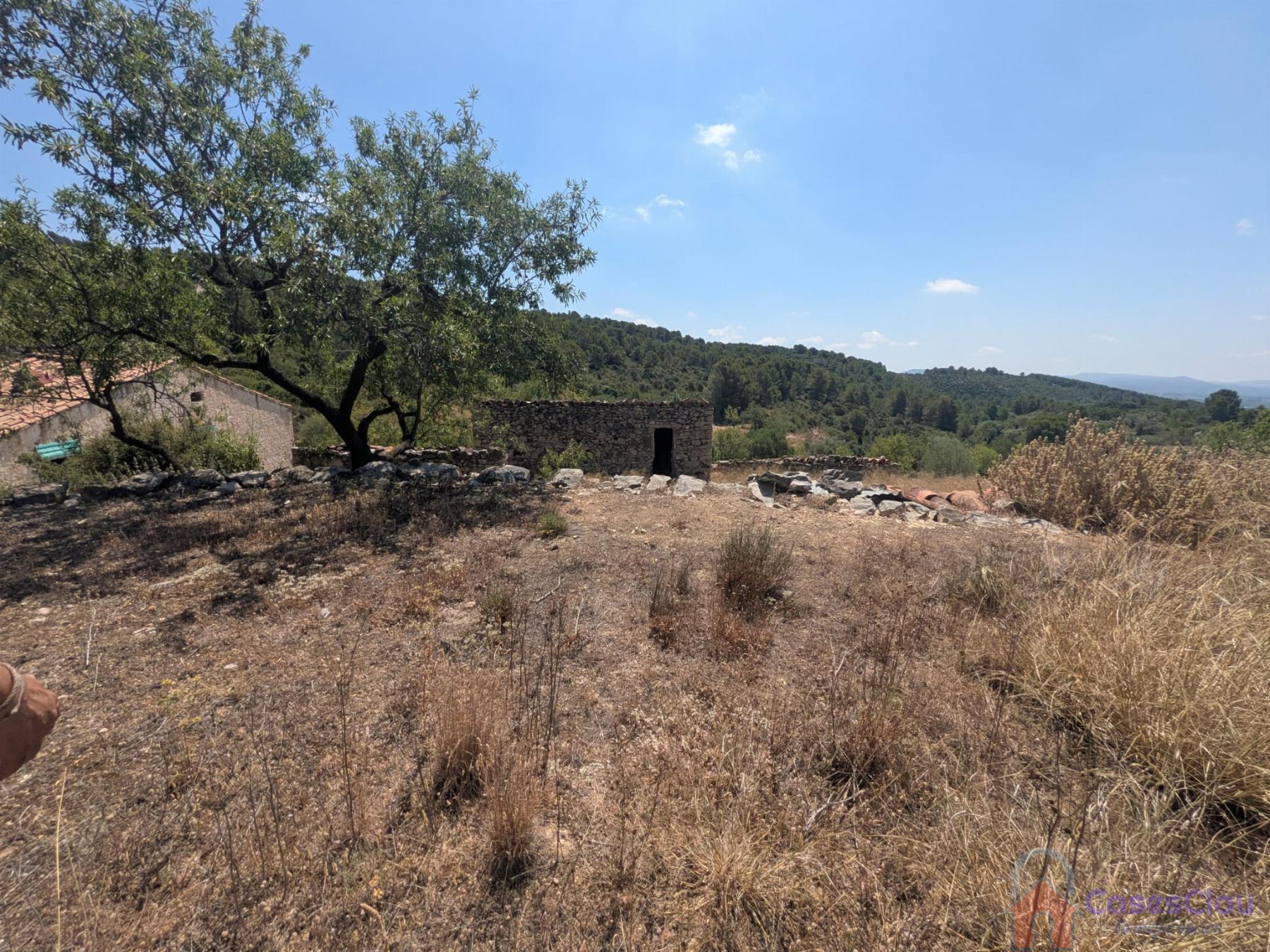 Venta de finca rústica en Sierra Engarcerán