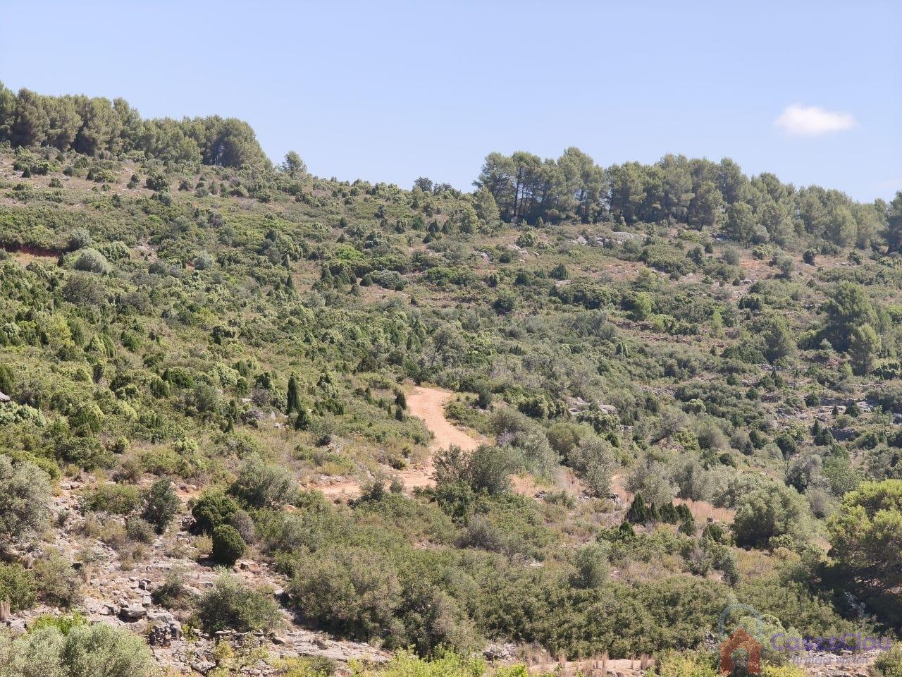 Venta de finca rústica en Sierra Engarcerán