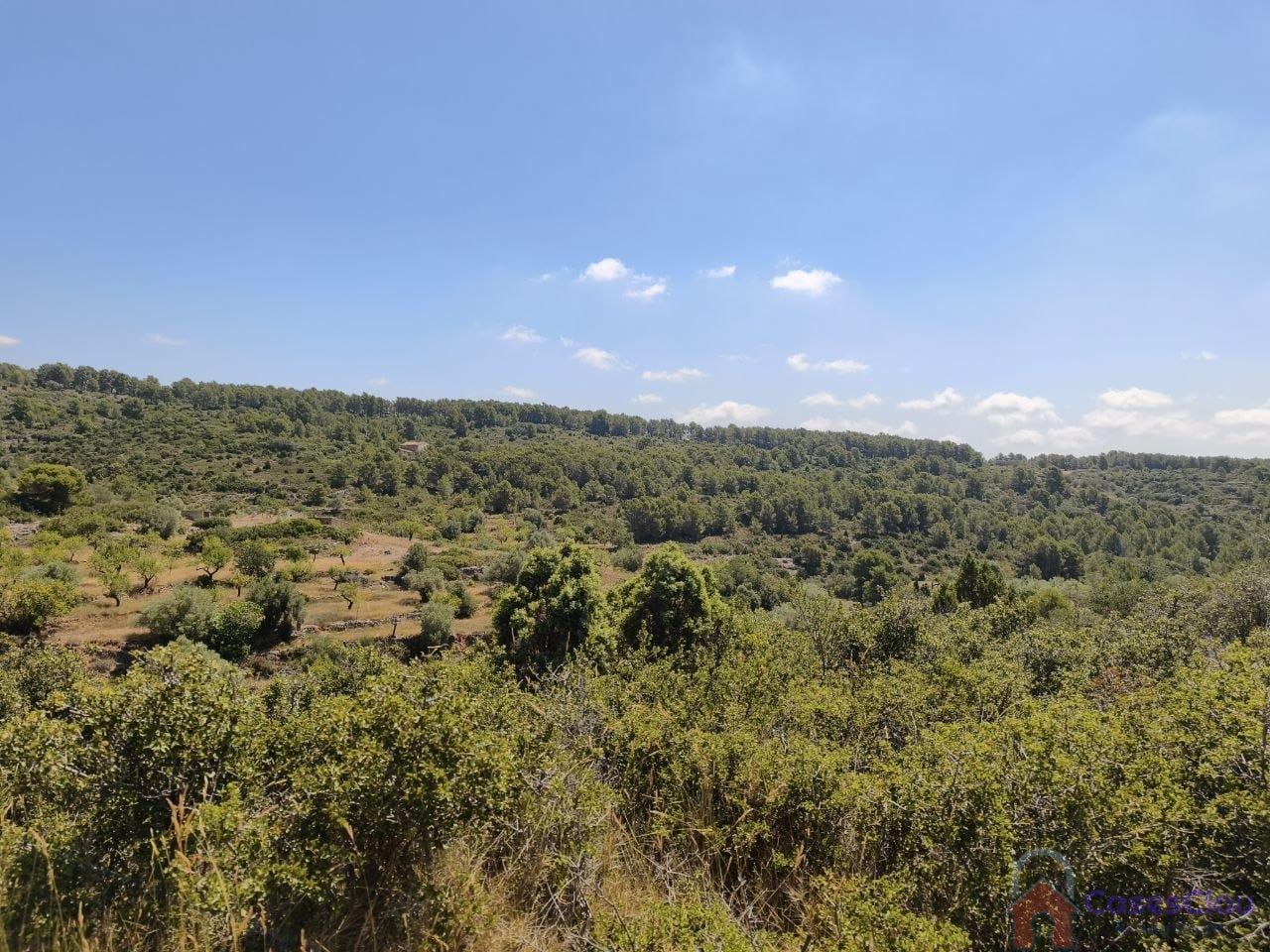Venta de finca rústica en Sierra Engarcerán