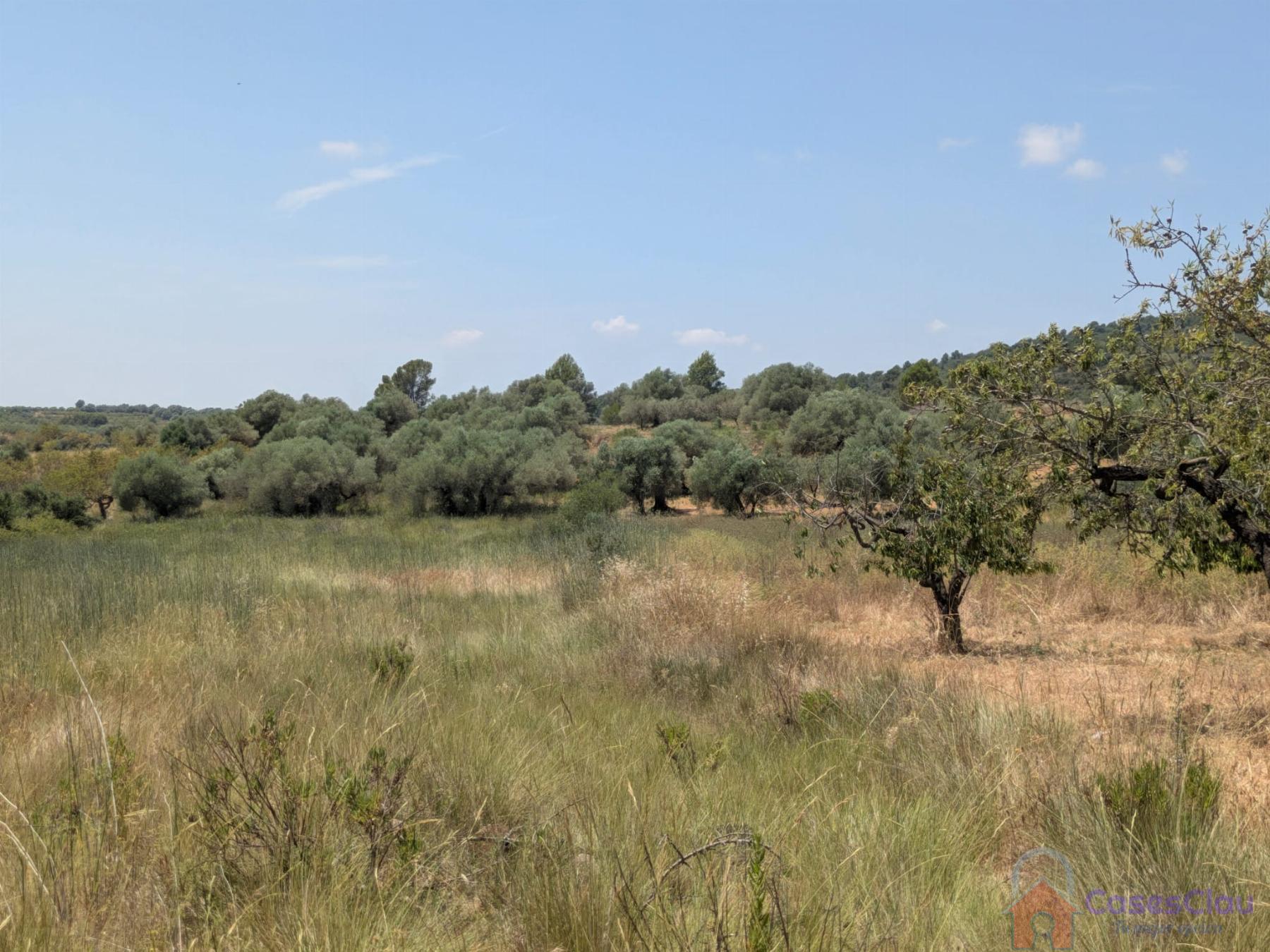 Venta de finca rústica en Vilanova d Alcolea