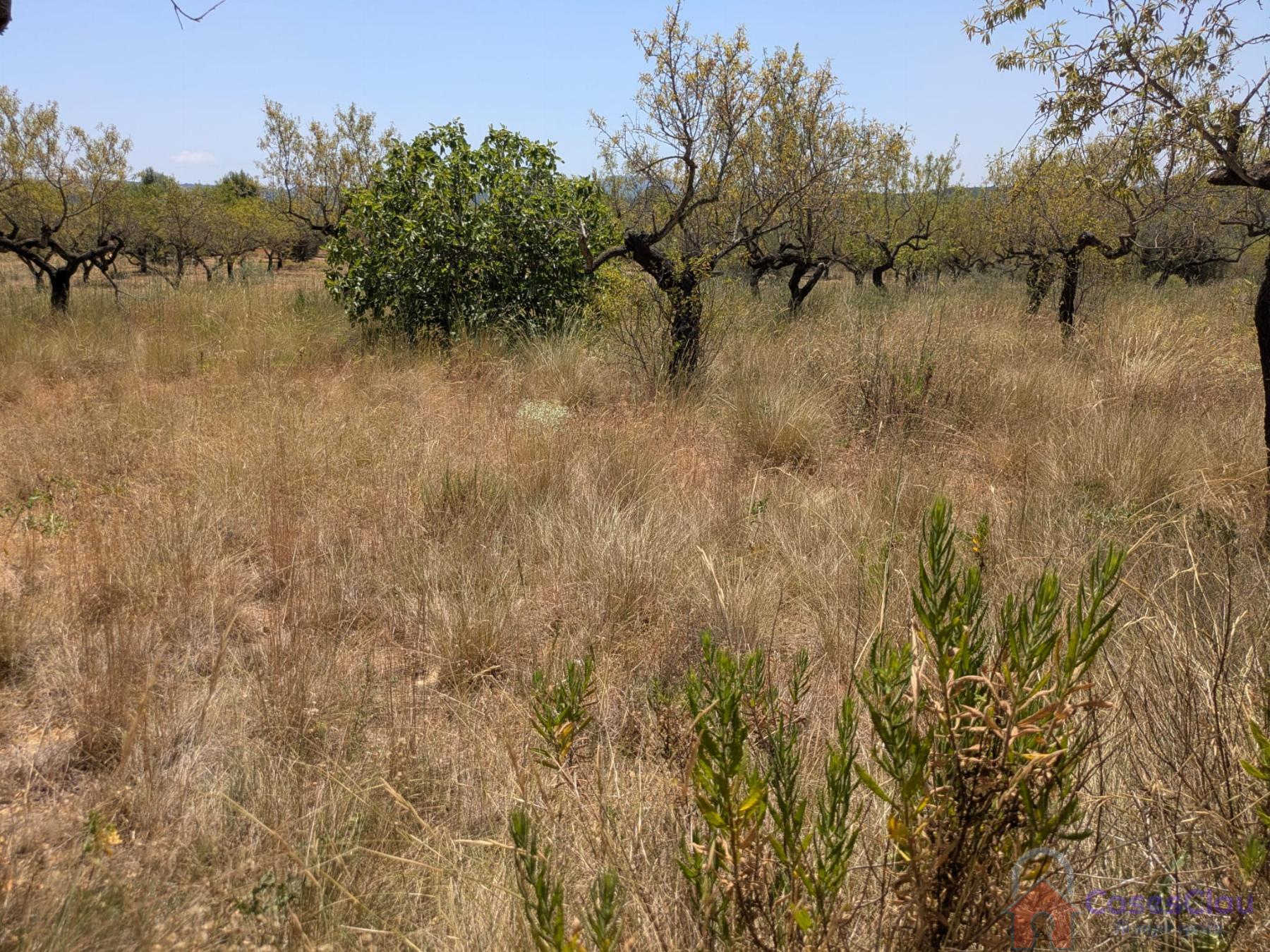Venta de finca rústica en Vilanova d Alcolea