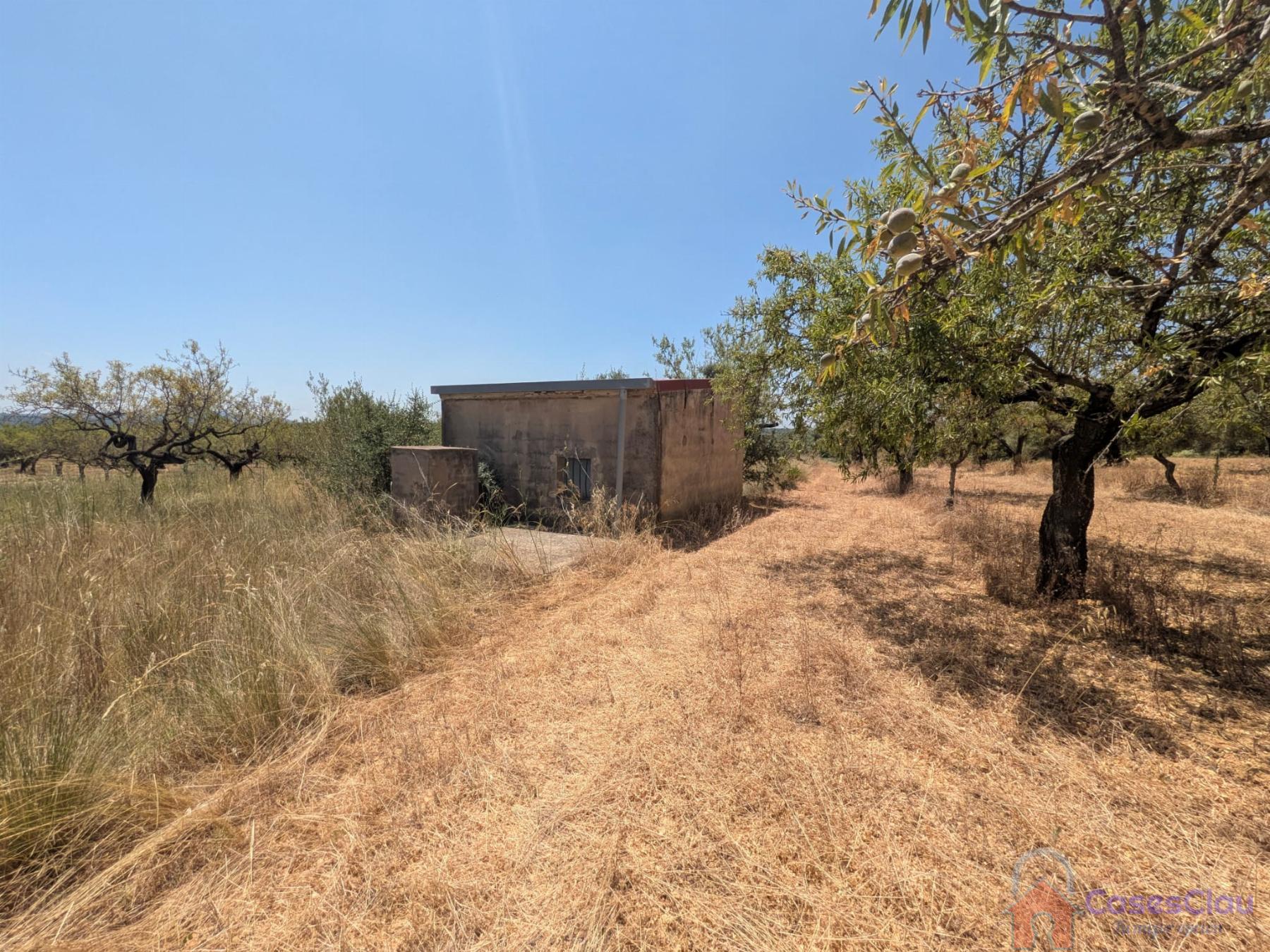 Venta de finca rústica en Vilanova d Alcolea