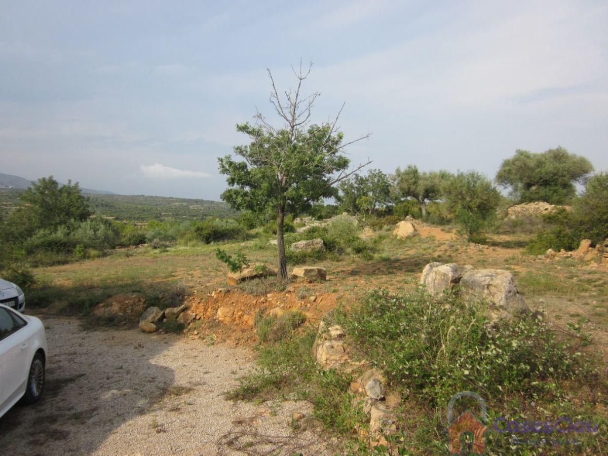 Venta de masía en Vall d Alba