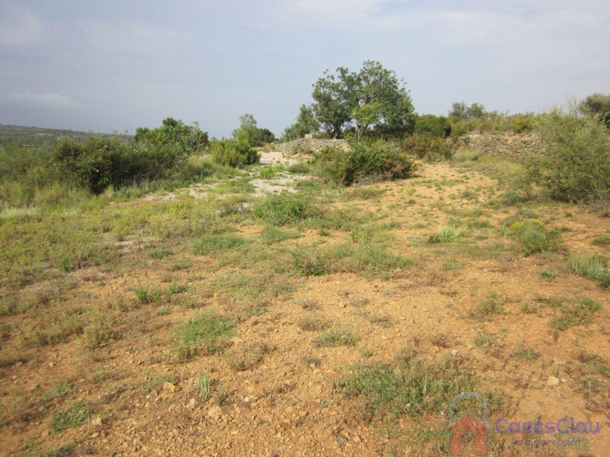 Venta de masía en Vall d Alba