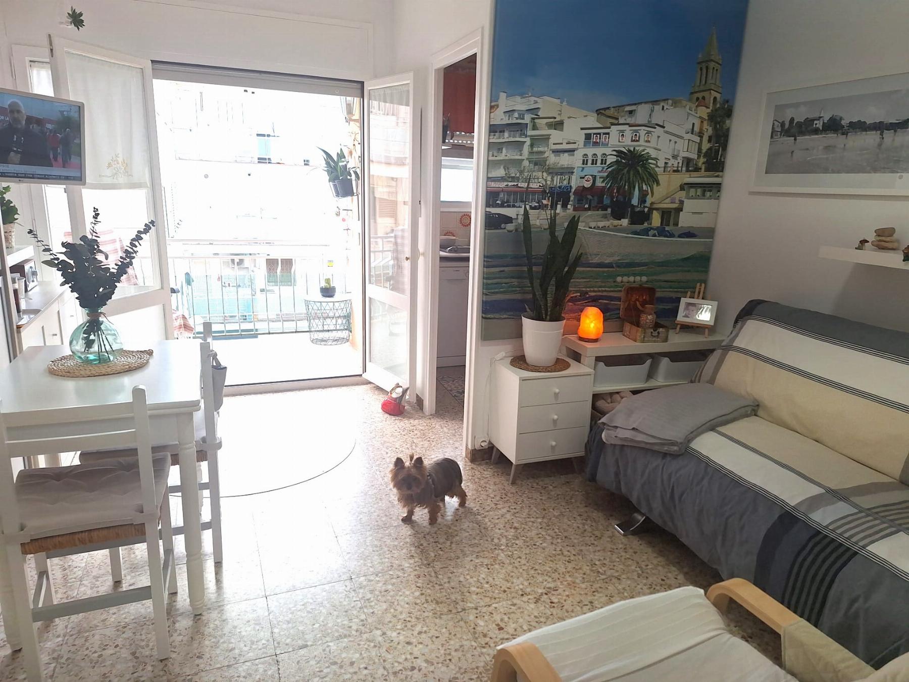 Venta de estudio en Coma - Ruga