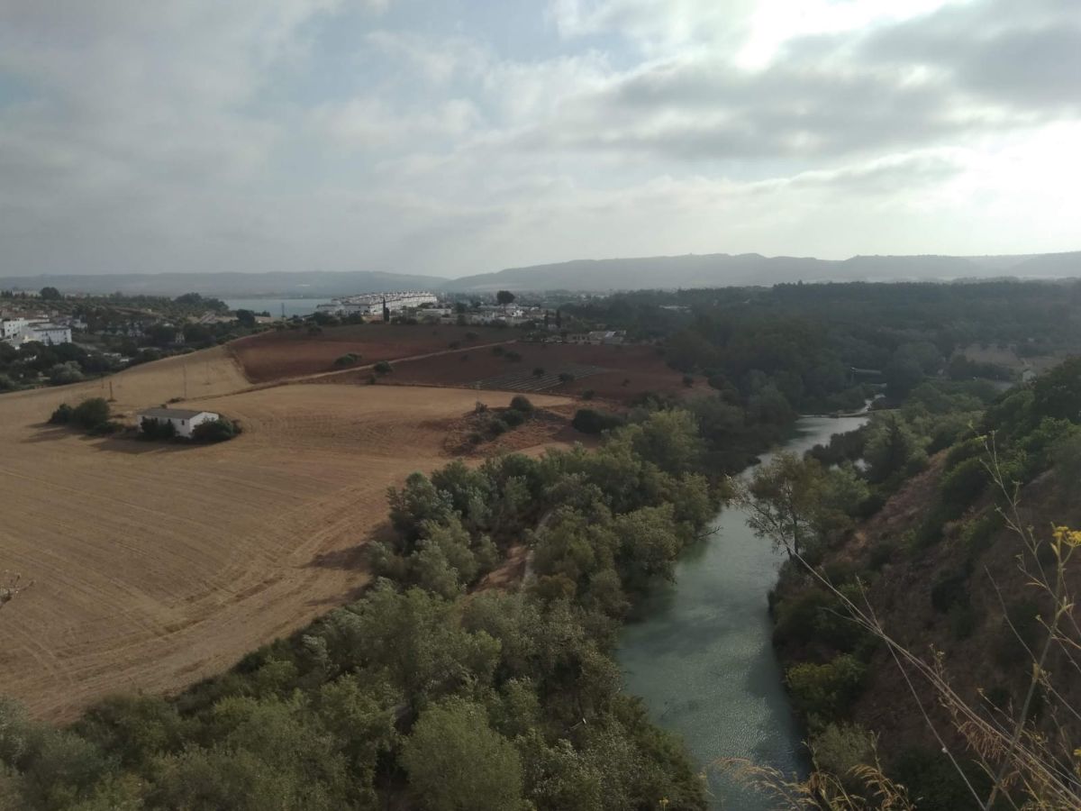For sale of building in Arcos de la Frontera