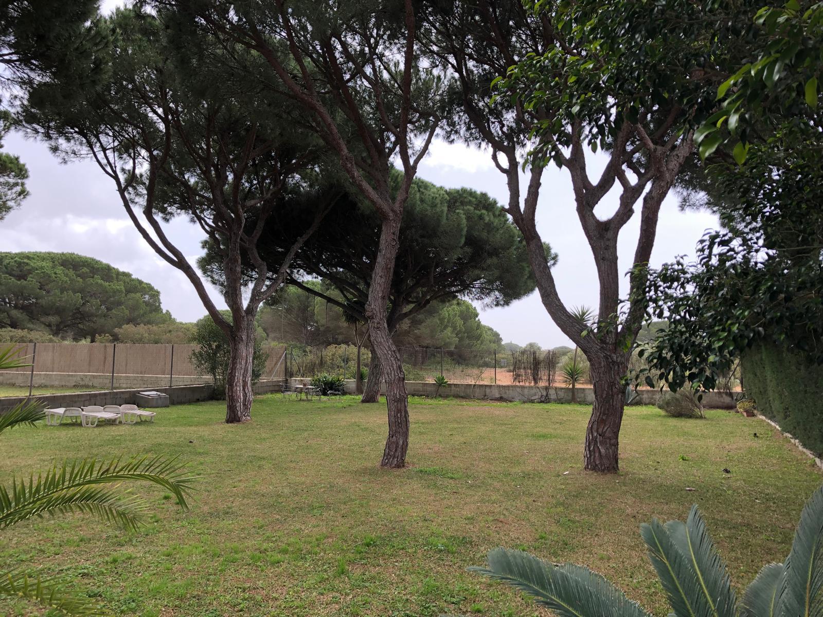 Jardín