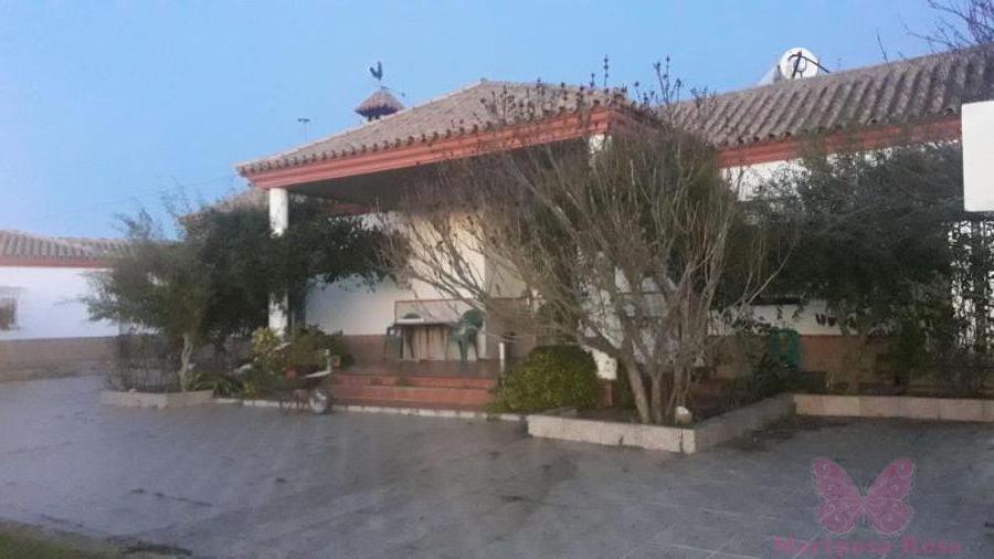 For sale of rural property in Puerto Real