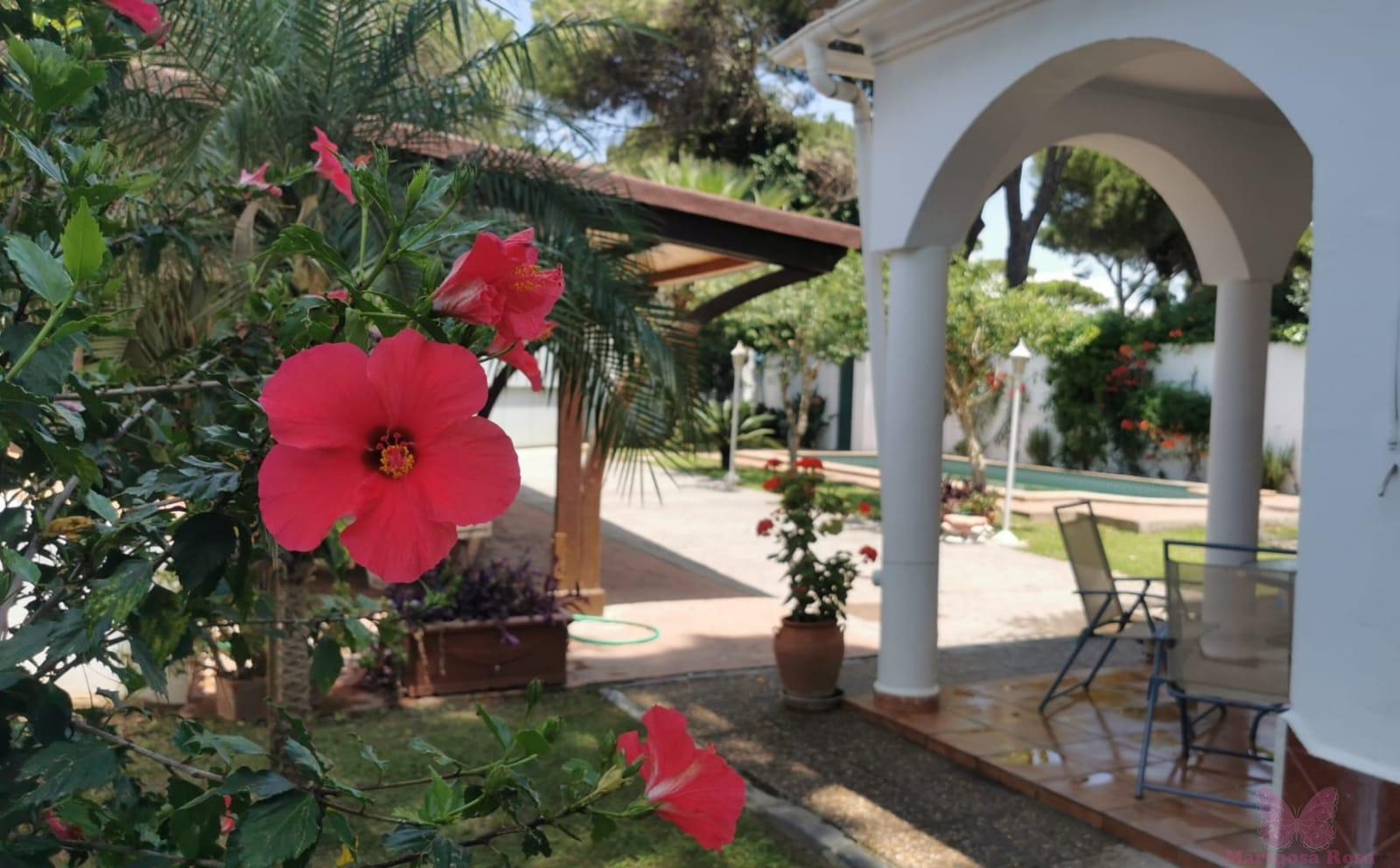 Alquiler de chalet en Chiclana de la Frontera