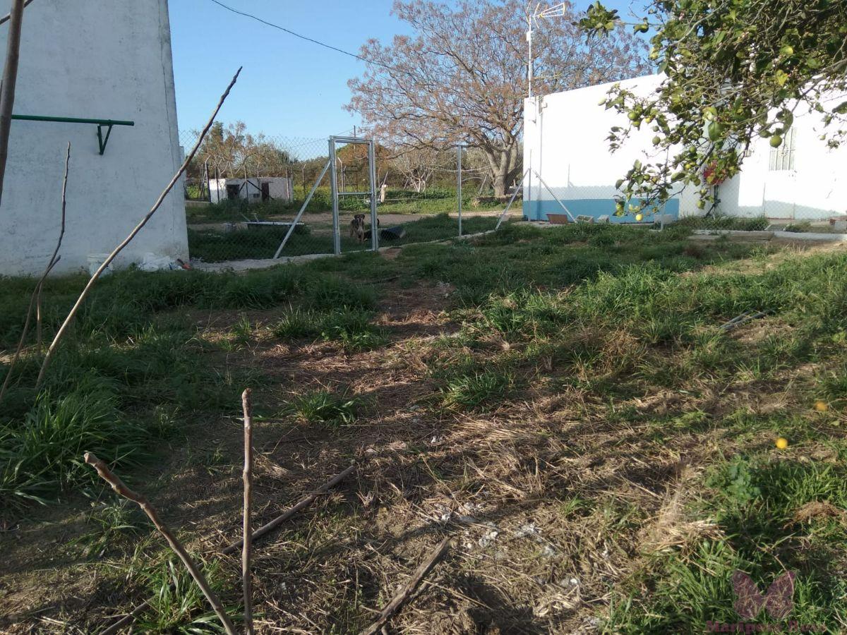 Venta de finca rústica en Puerto Real