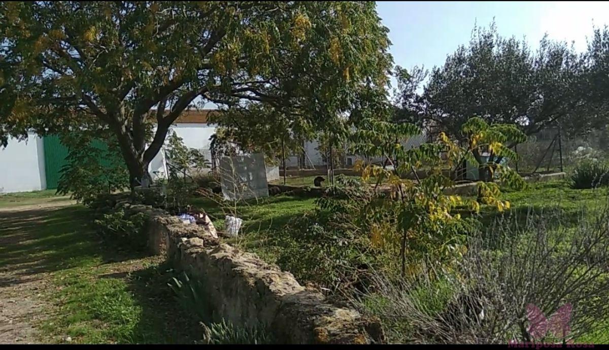 Venta de finca rústica en Puerto Real