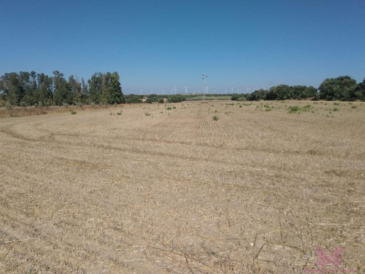 Venta de finca rústica en Puerto Real