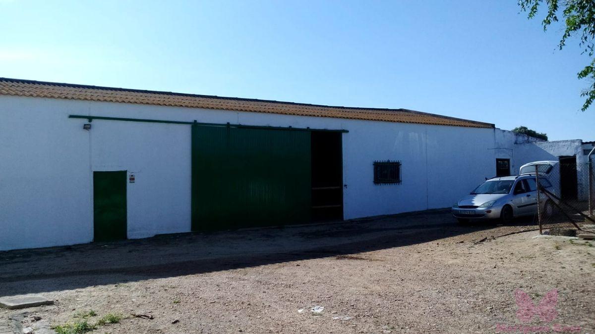Venta de finca rústica en Puerto Real